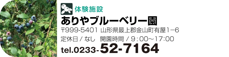 ありやブルーベリー園