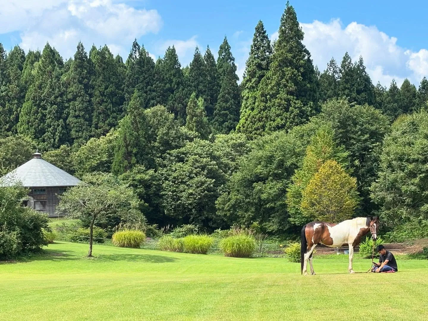 久しぶりの再開！元気にしてた？