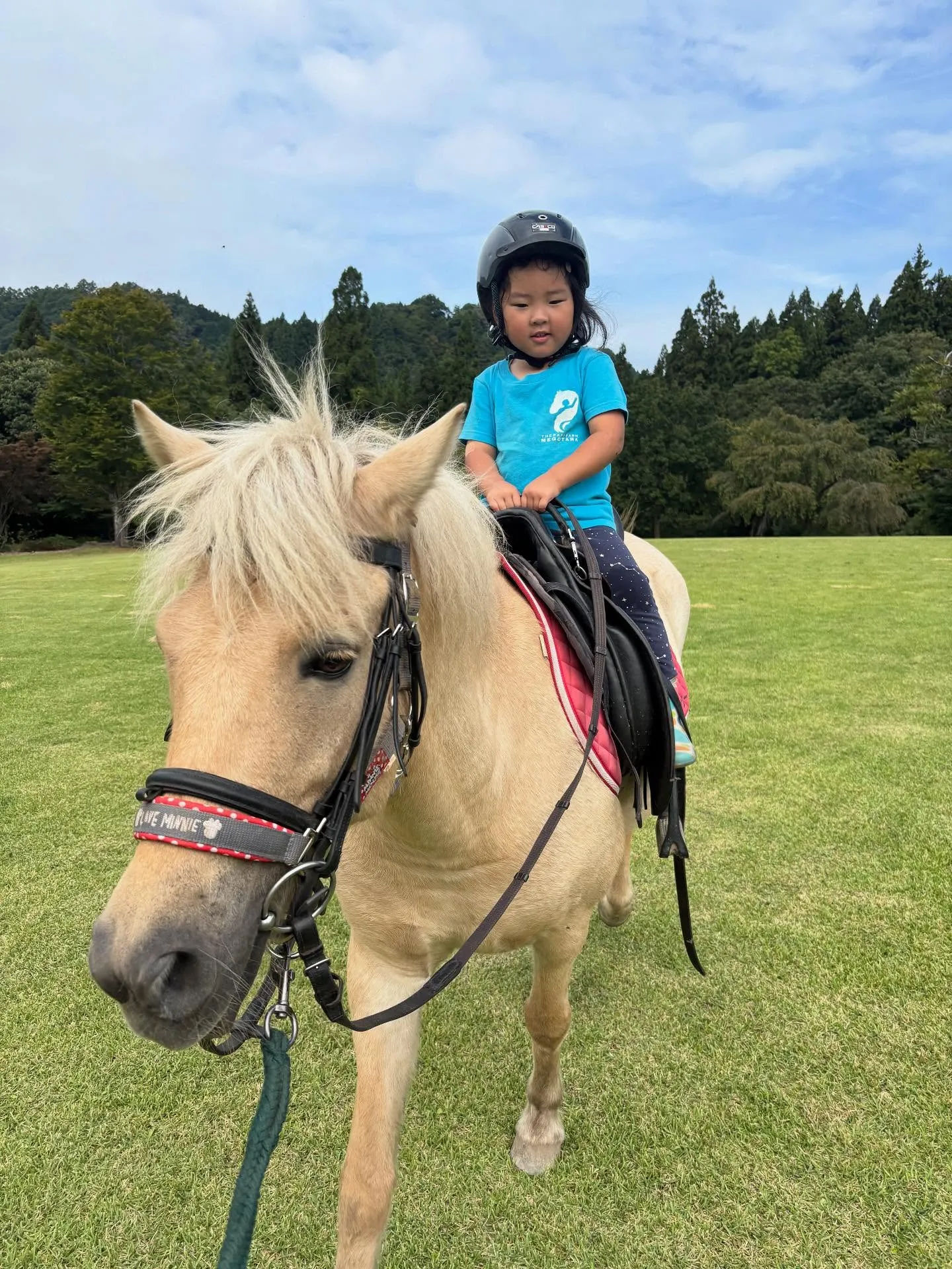 馬に乗るとスカッとするー！