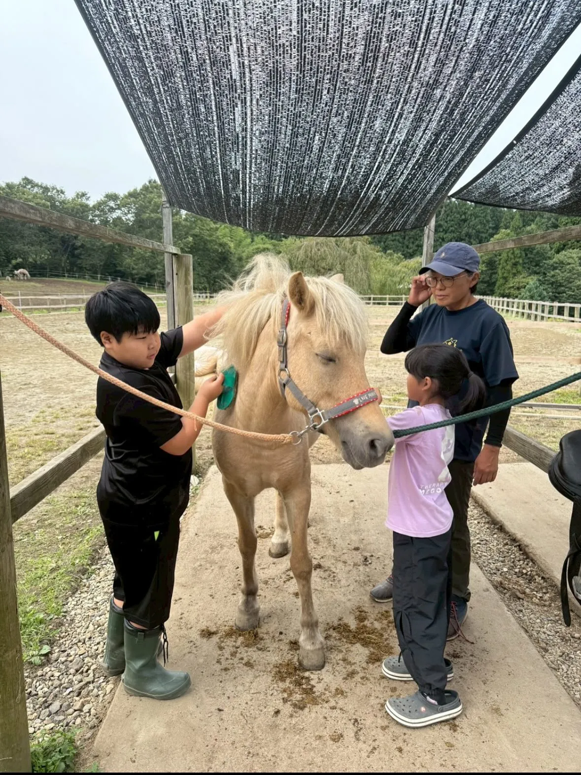 馬に乗るとスカッとするー！