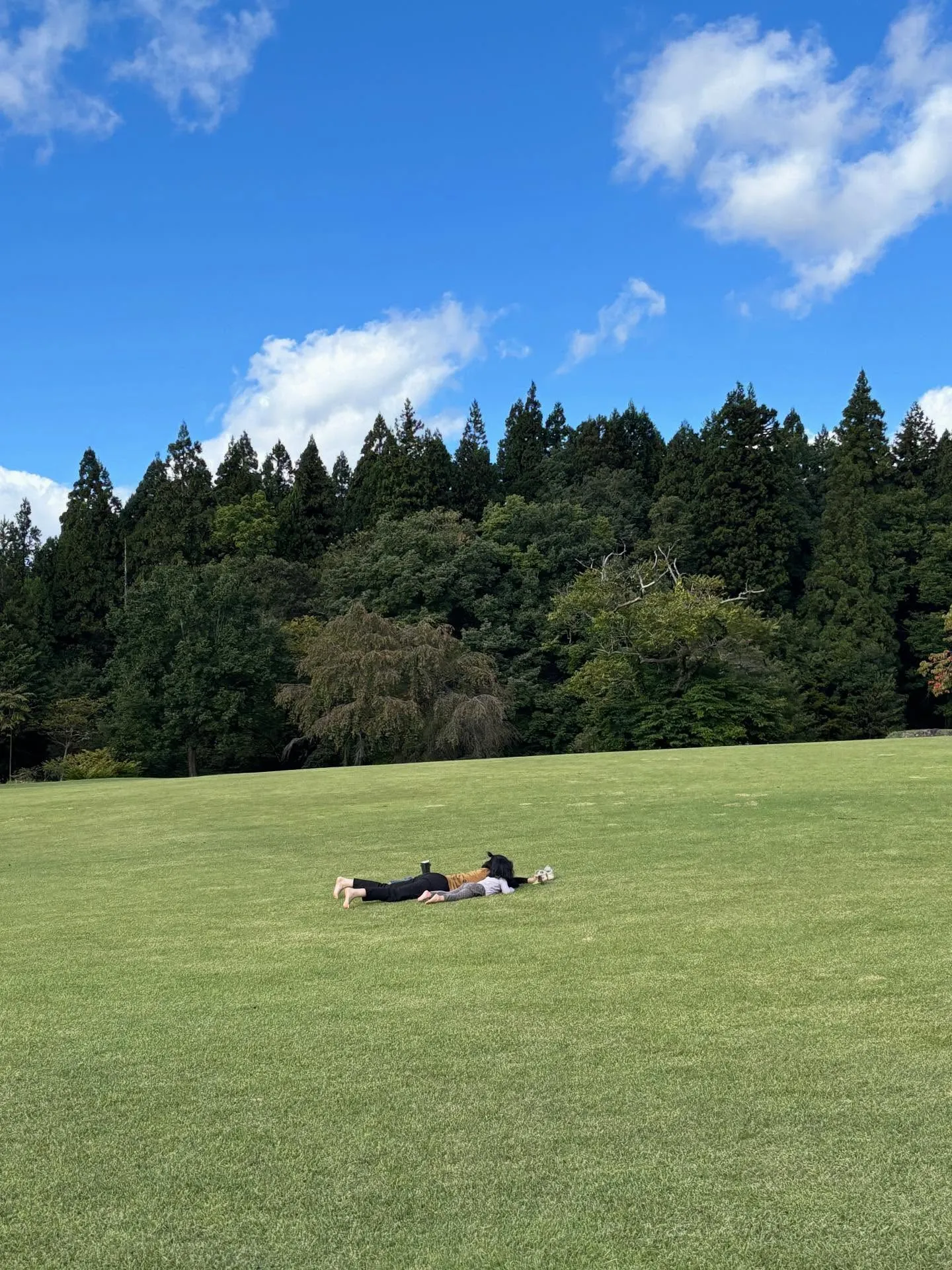 芝生でお昼寝サイコー💤
