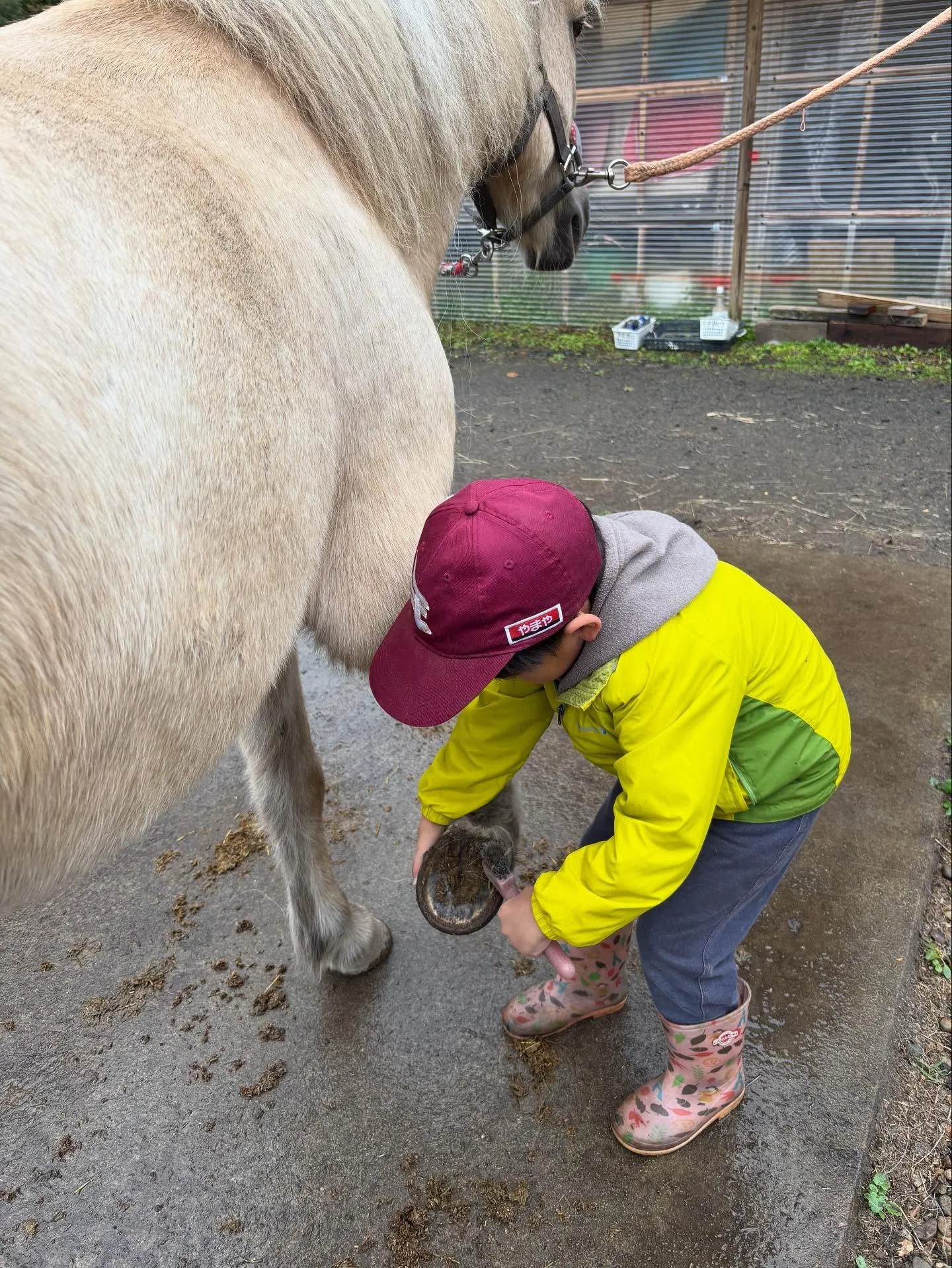 ファームの一日