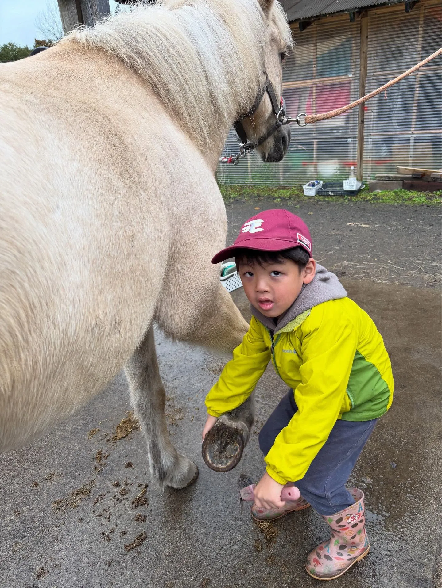 ファームの一日