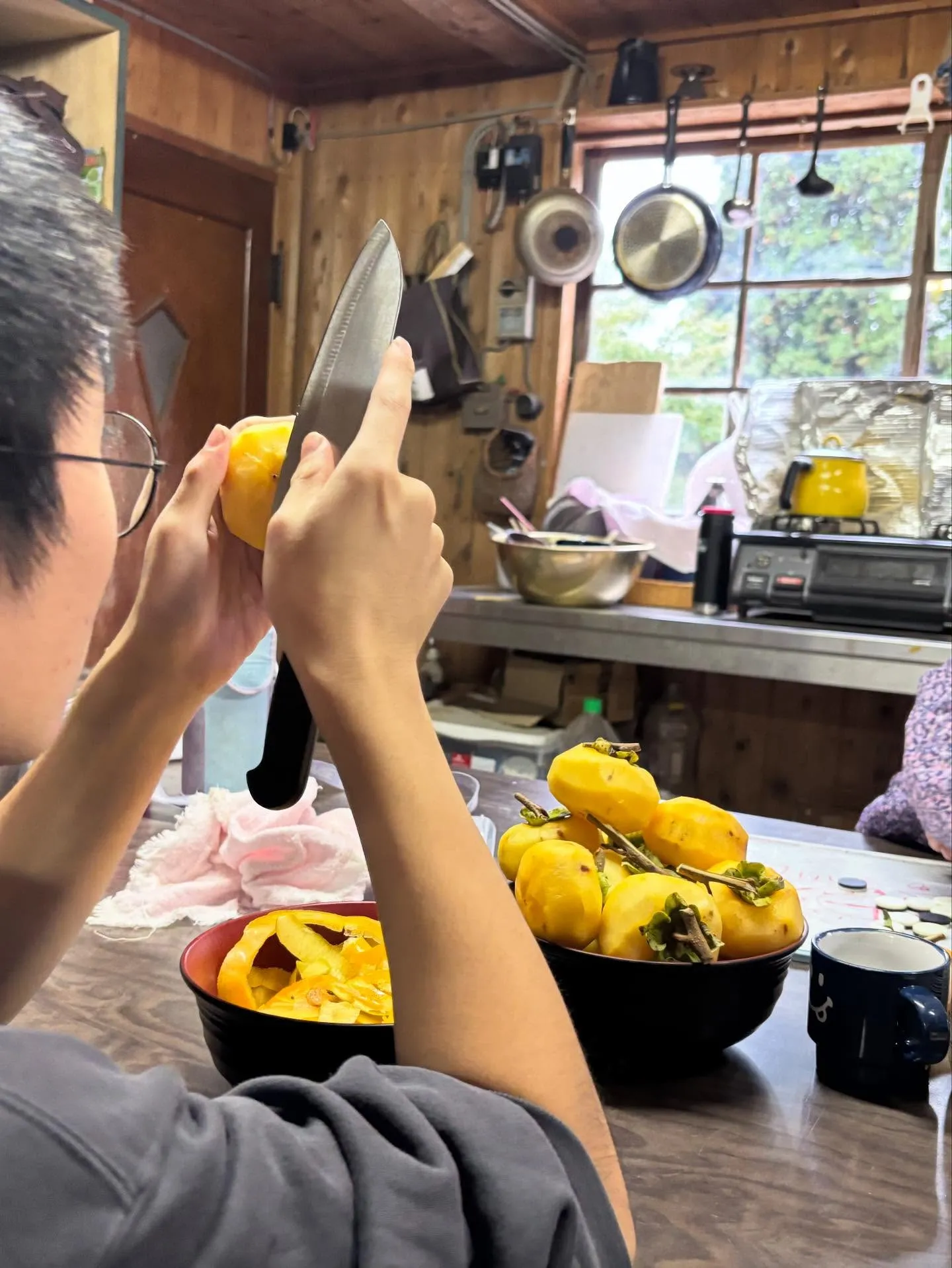 ファームの一日