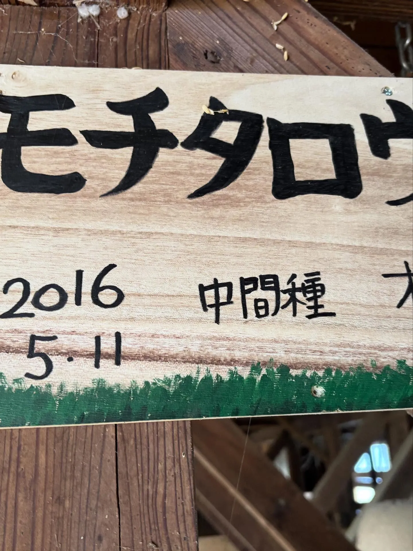 動物紹介5 モチタロウ 9歳 牡