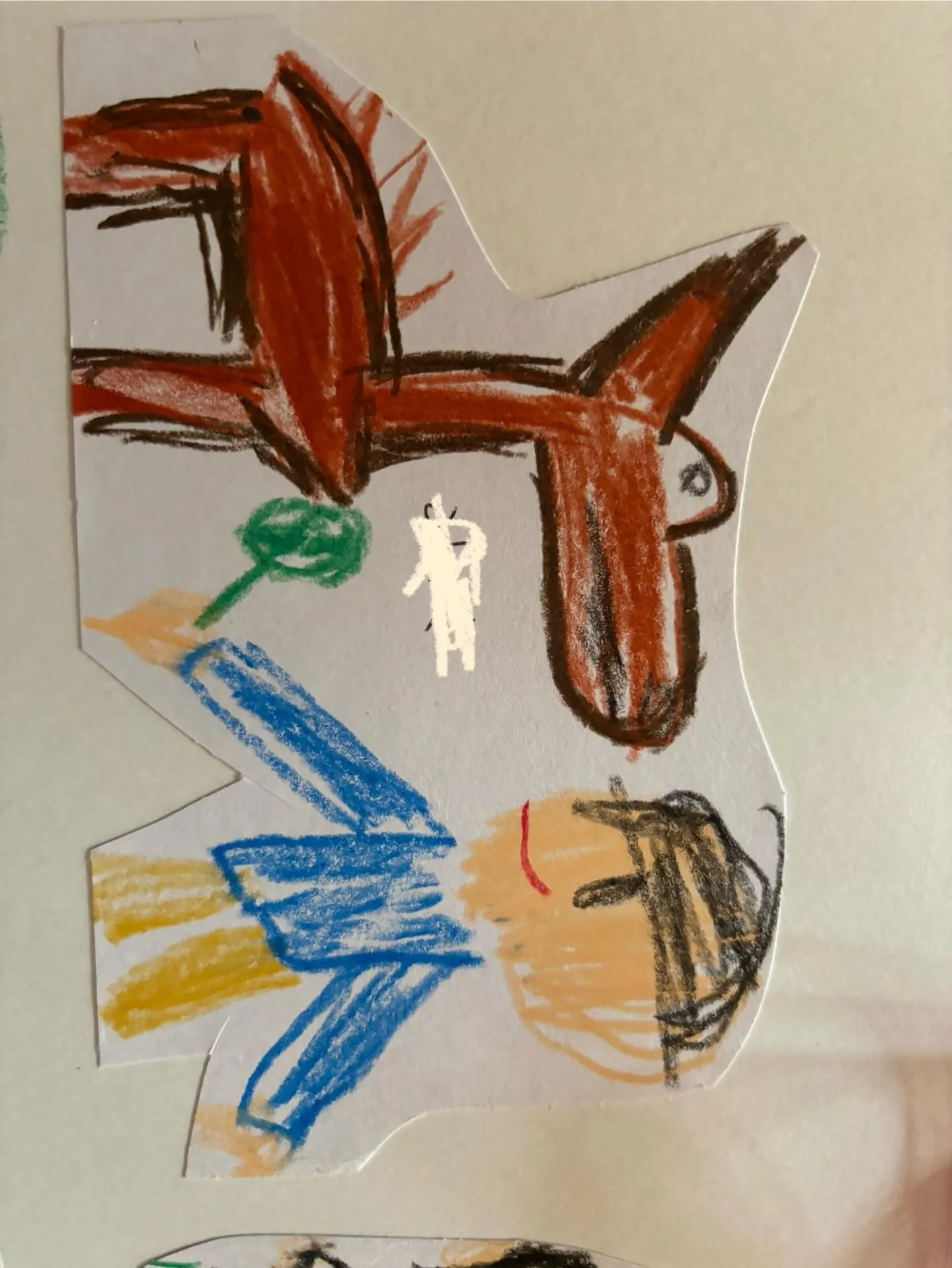 動物紹介6  キリンちゃん　9歳