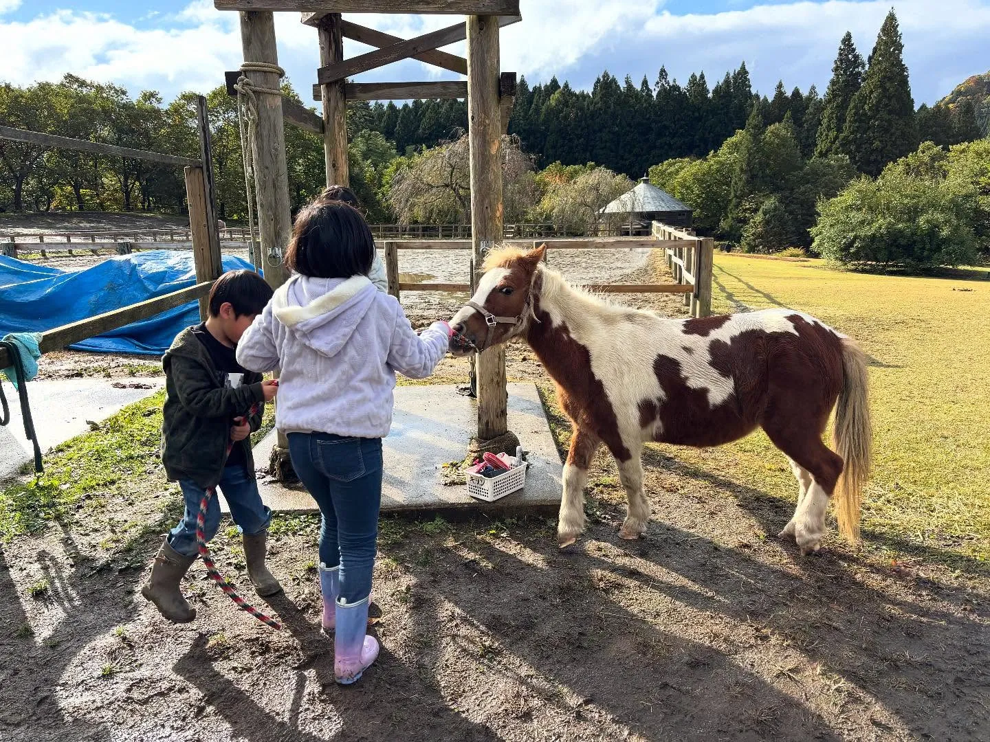 今日は子ども園から来たキリンちゃんのお世話!