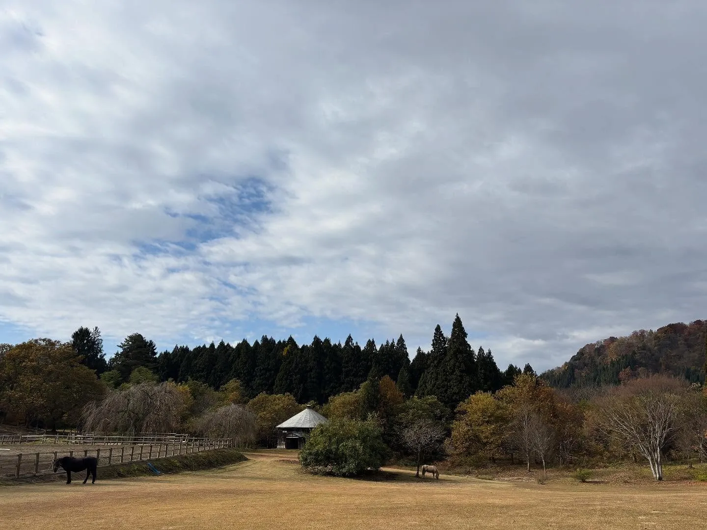 初霜！？寒くなってきたー🥶