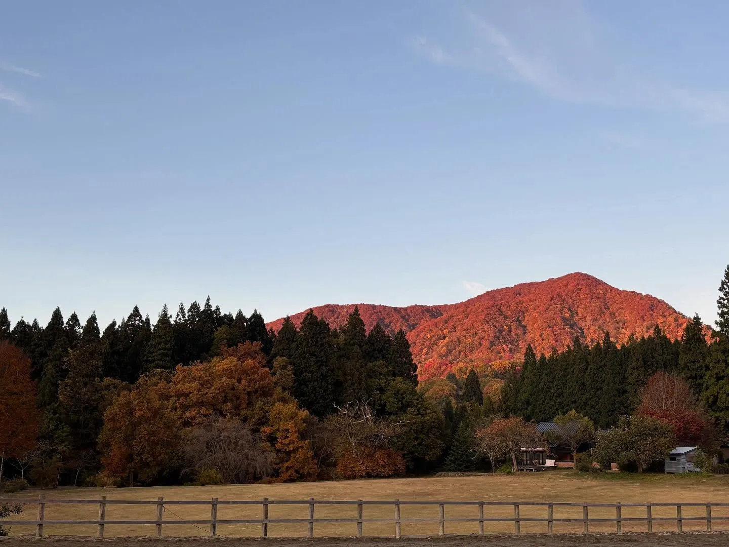 初霜！？寒くなってきたー🥶