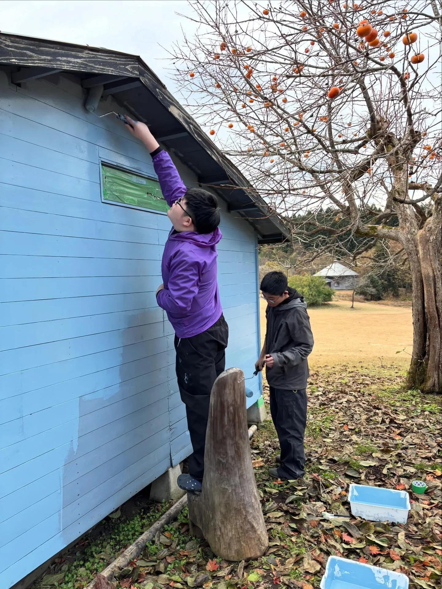 今週は雨の合間をぬってペンキ塗り🫟