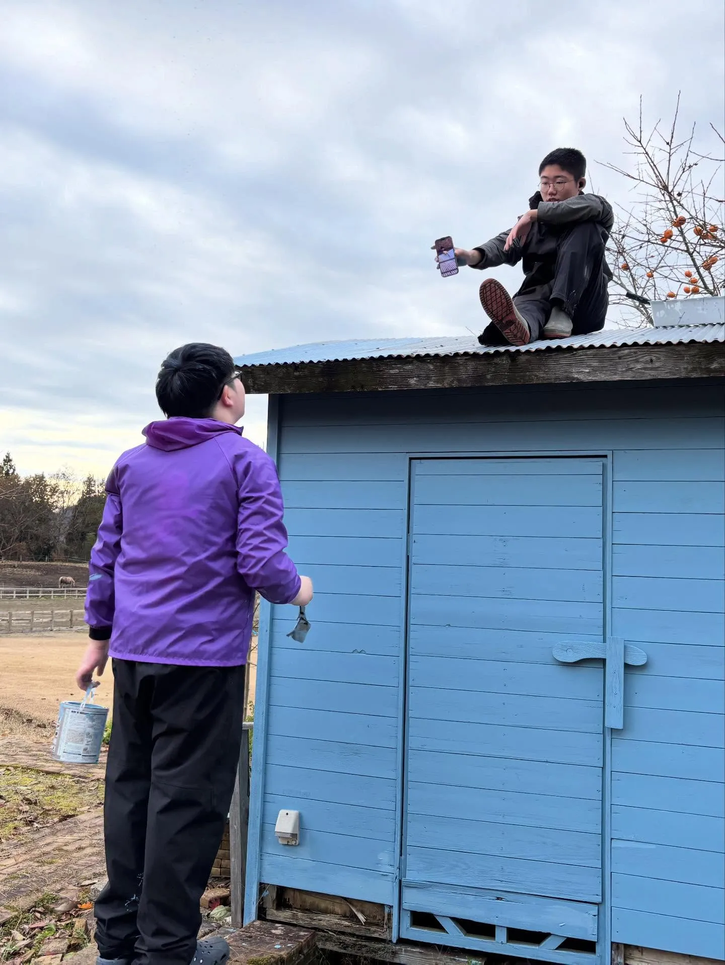 今週は雨の合間をぬってペンキ塗り🫟