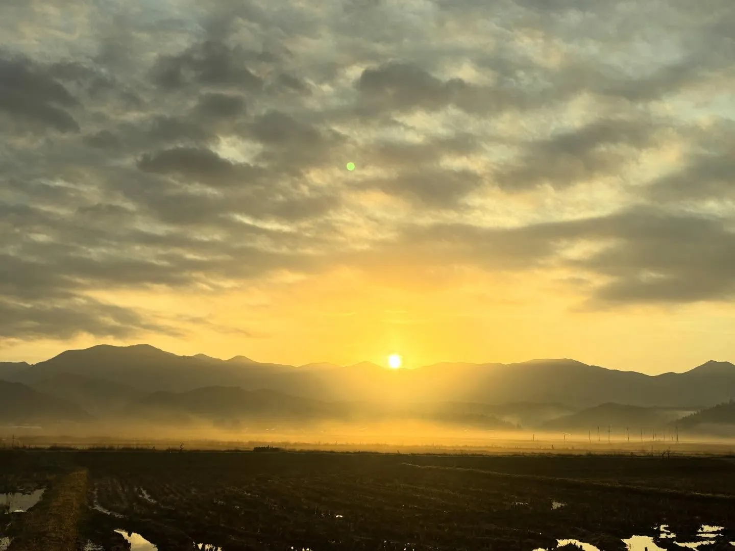 2階に行ったら見つけた落書き！めちゃリアル🐴