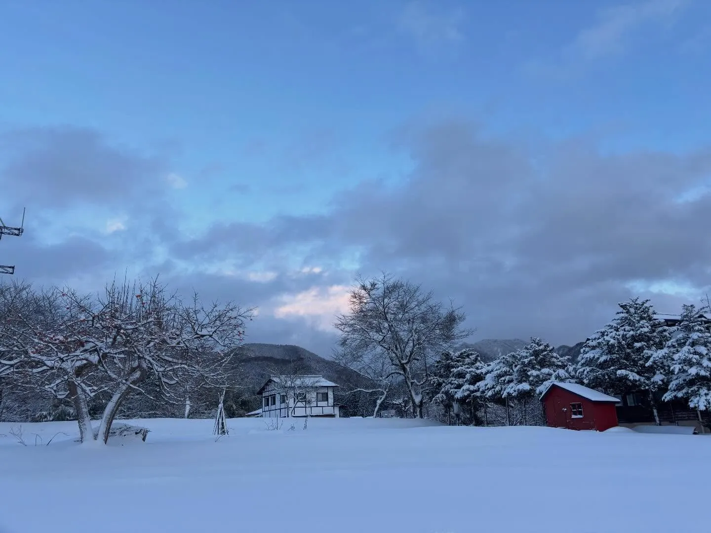 雪のファームはなんか幻想的❄️