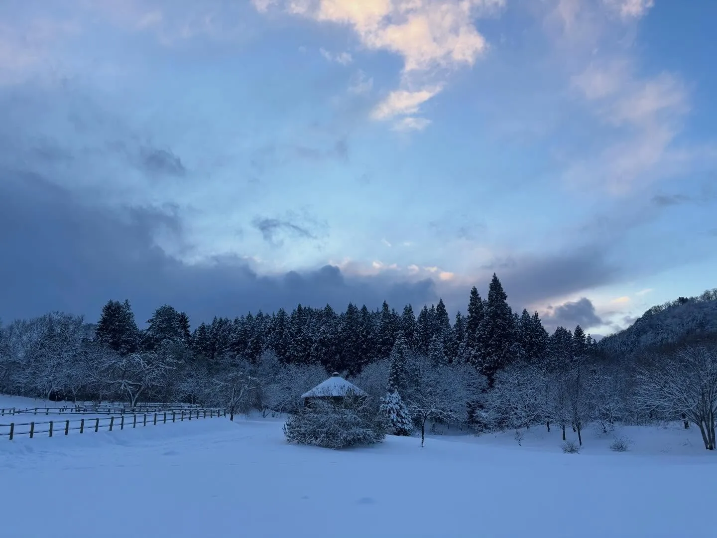 雪のファームはなんか幻想的❄️