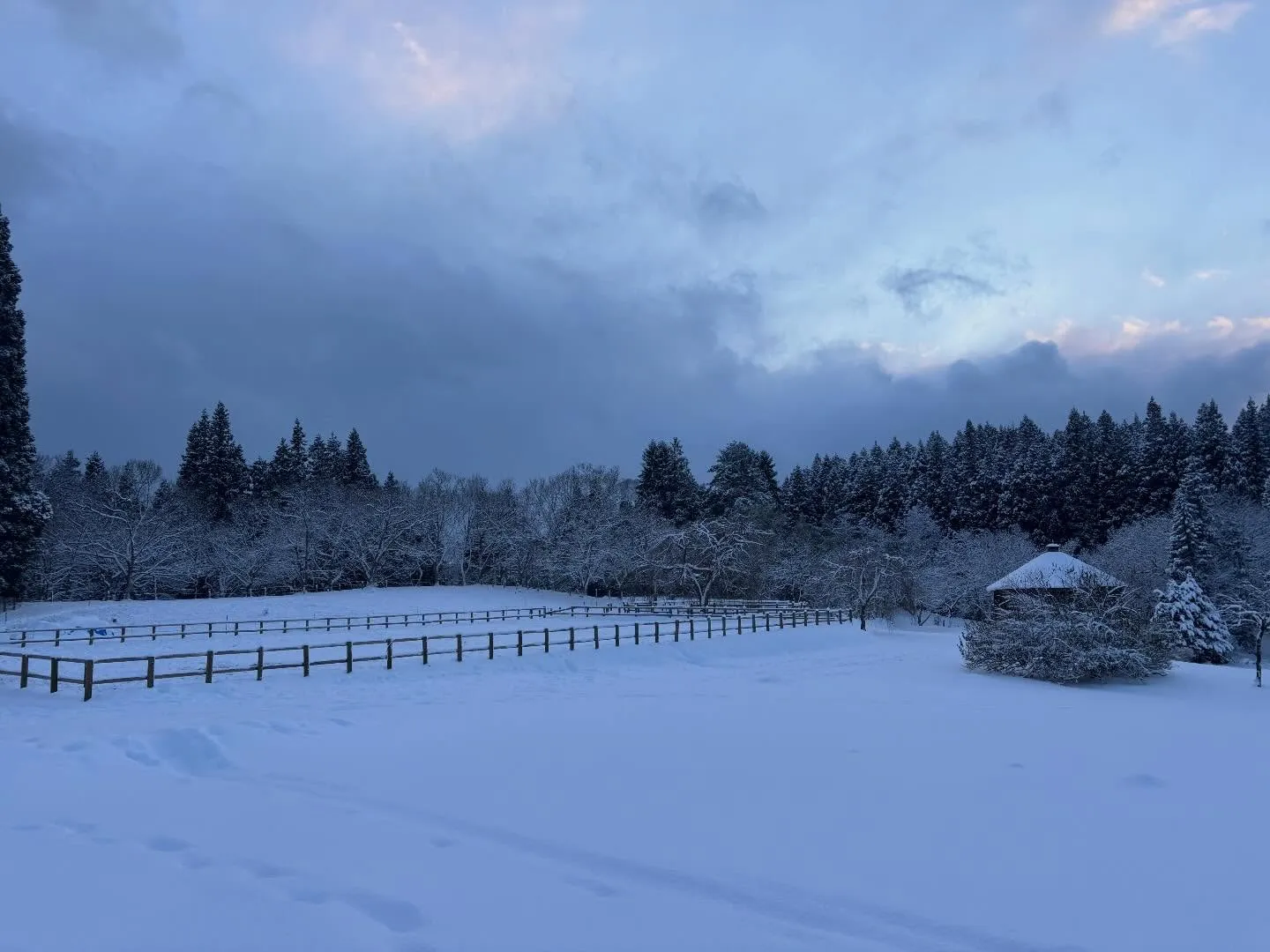 雪のファームはなんか幻想的❄️