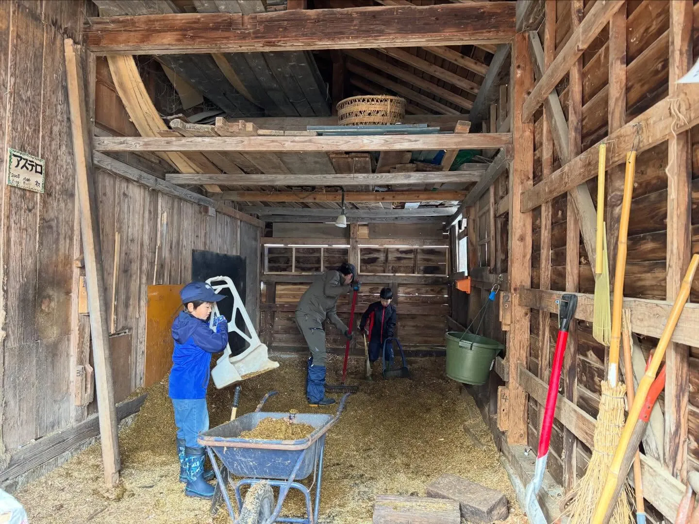 みんなで馬小屋の掃除した後は、今日はカフェでご飯！美味しい😋