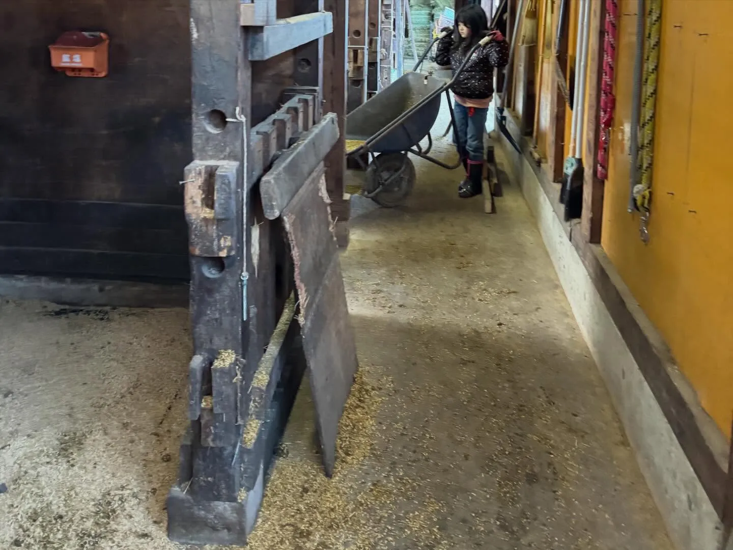 みんなで馬小屋の掃除した後は、今日はカフェでご飯！美味しい😋