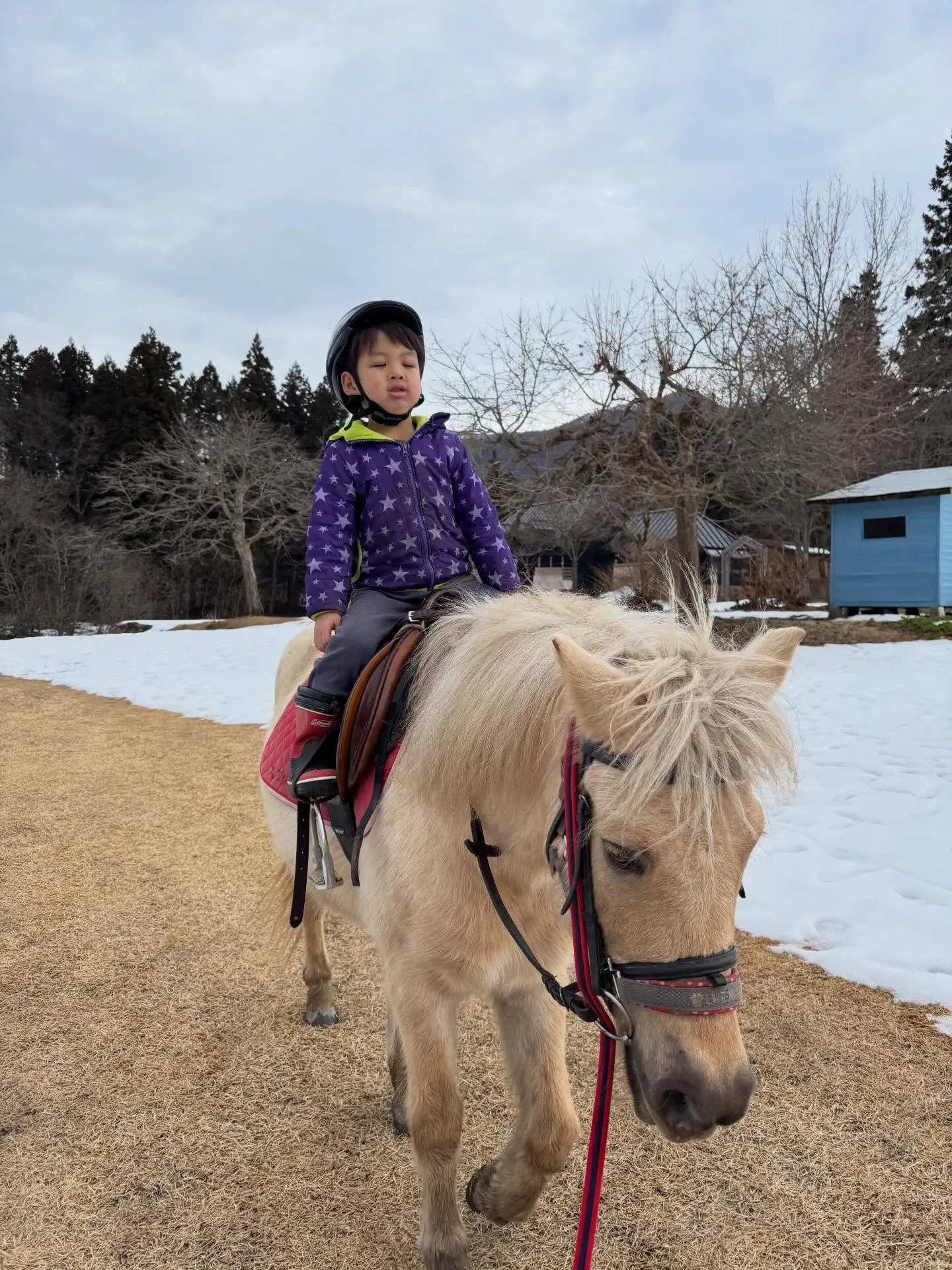 土・日は子どもたちのセッション！みんな上手になってるねー♪馬...