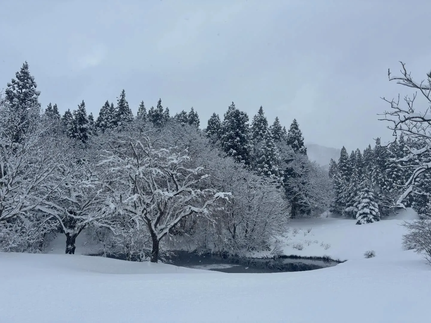 ❄️いっぱい降ったよー！近くのスキー場もオープン⛷️