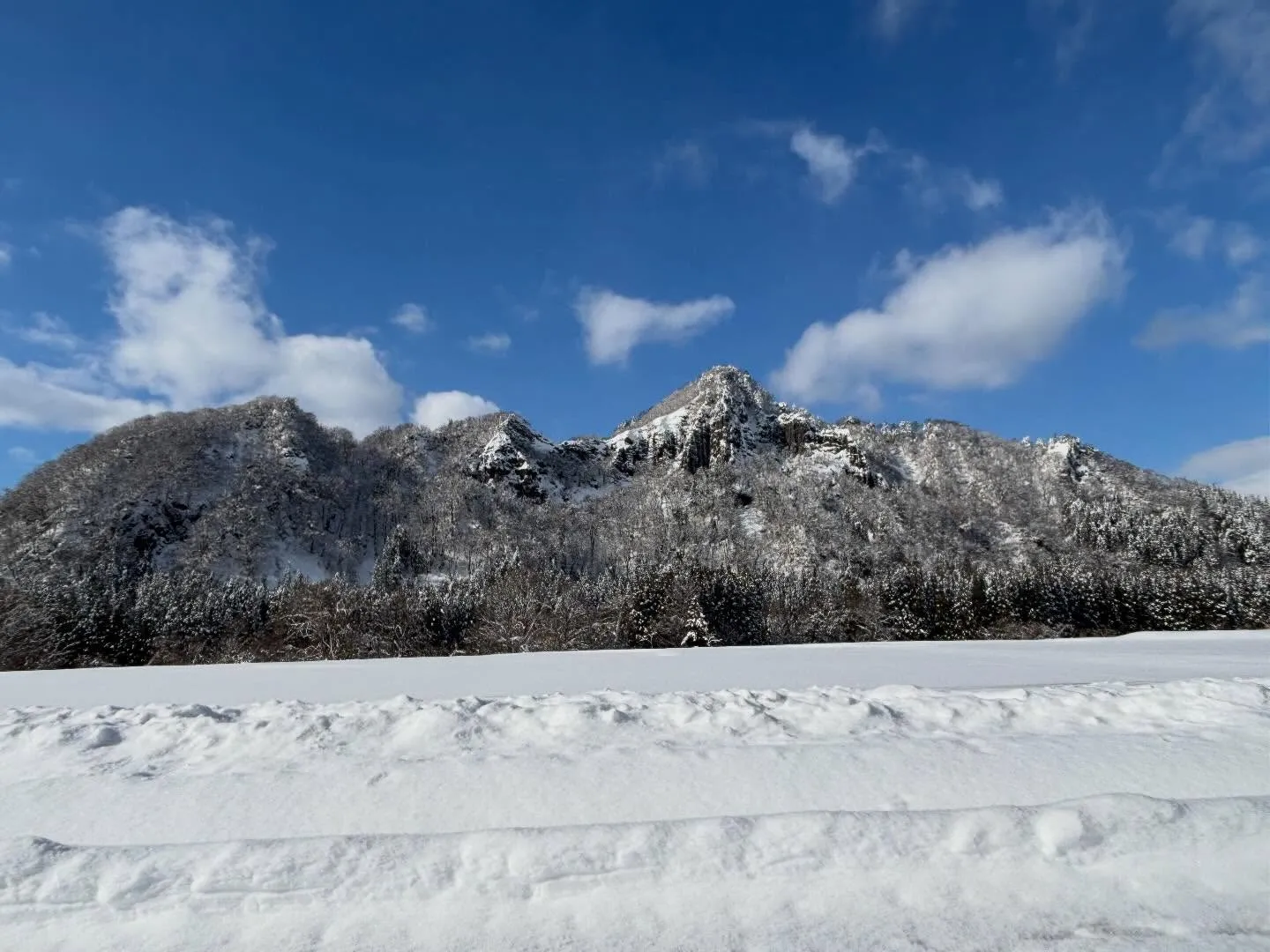 ❄️いっぱい降ったよー！近くのスキー場もオープン⛷️