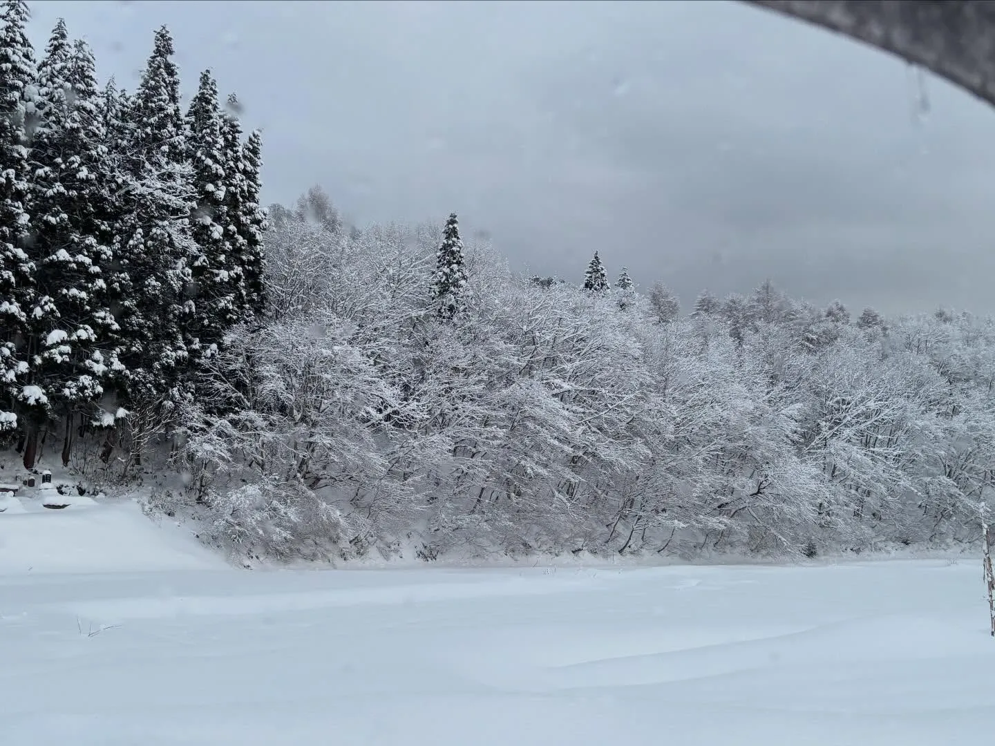 今日は吹雪❄️真っ白の世界の中でも馬たちは元気♪追いかけっこ...