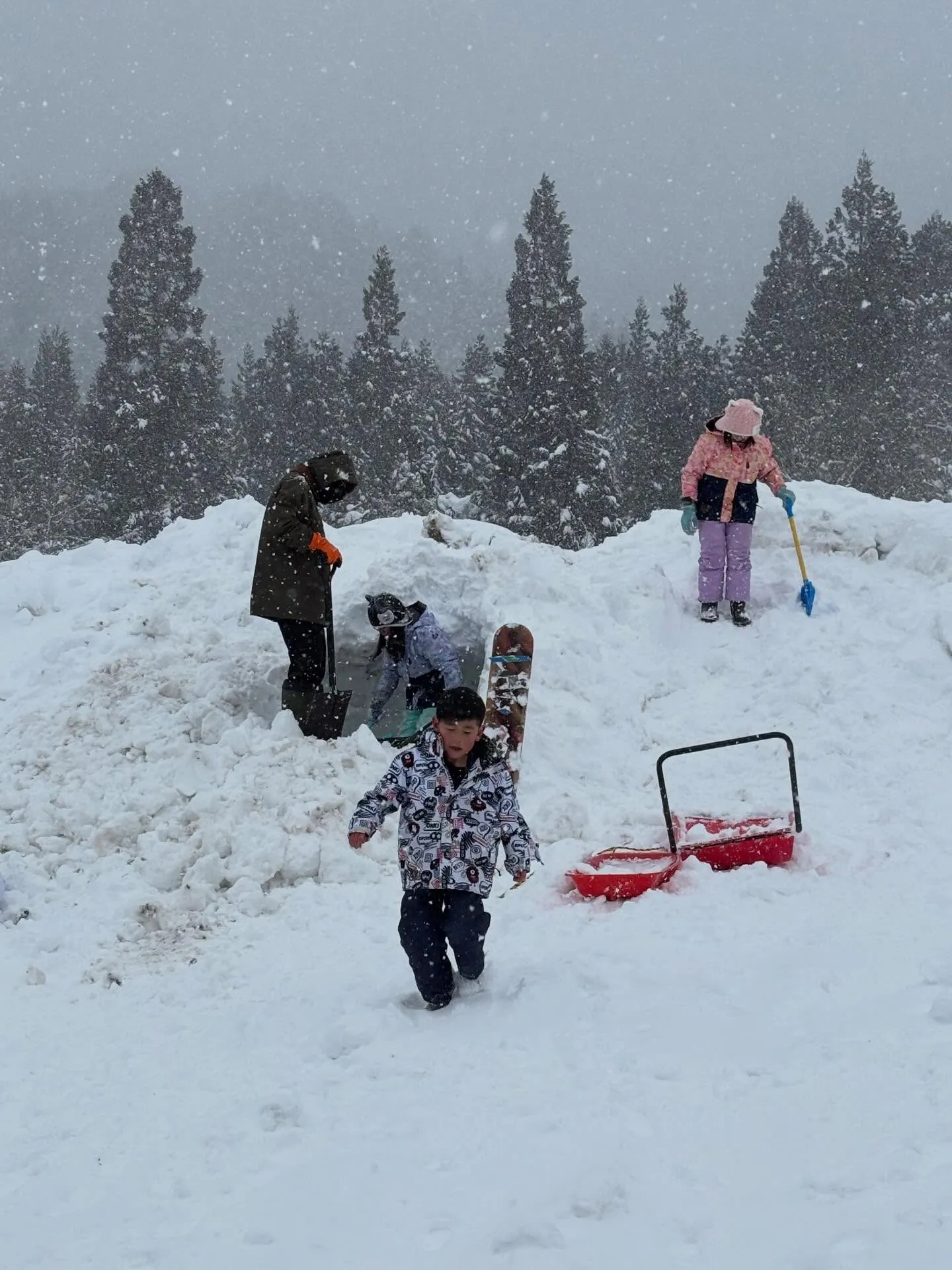 猛吹雪なんか全然平気！外でいっぱい遊んだよー♪雪❄️って楽し...