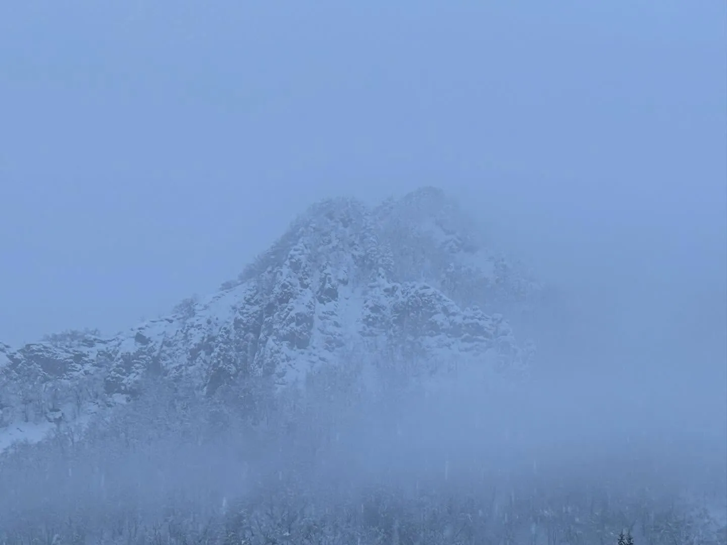 いつも別々の場所で放牧している🐴🐴