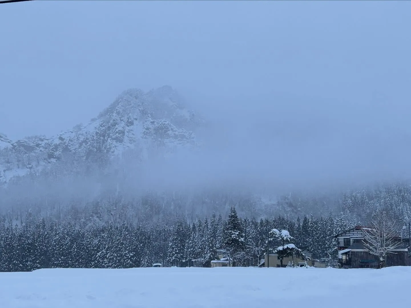 いつも別々の場所で放牧している🐴🐴