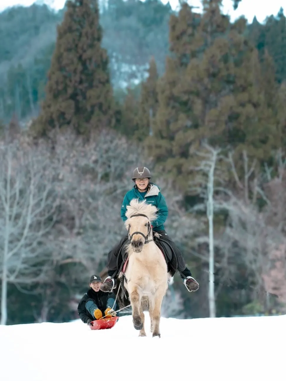 今日はエスペとバレンティーナに子どもたちのソリを引いてもらっ...