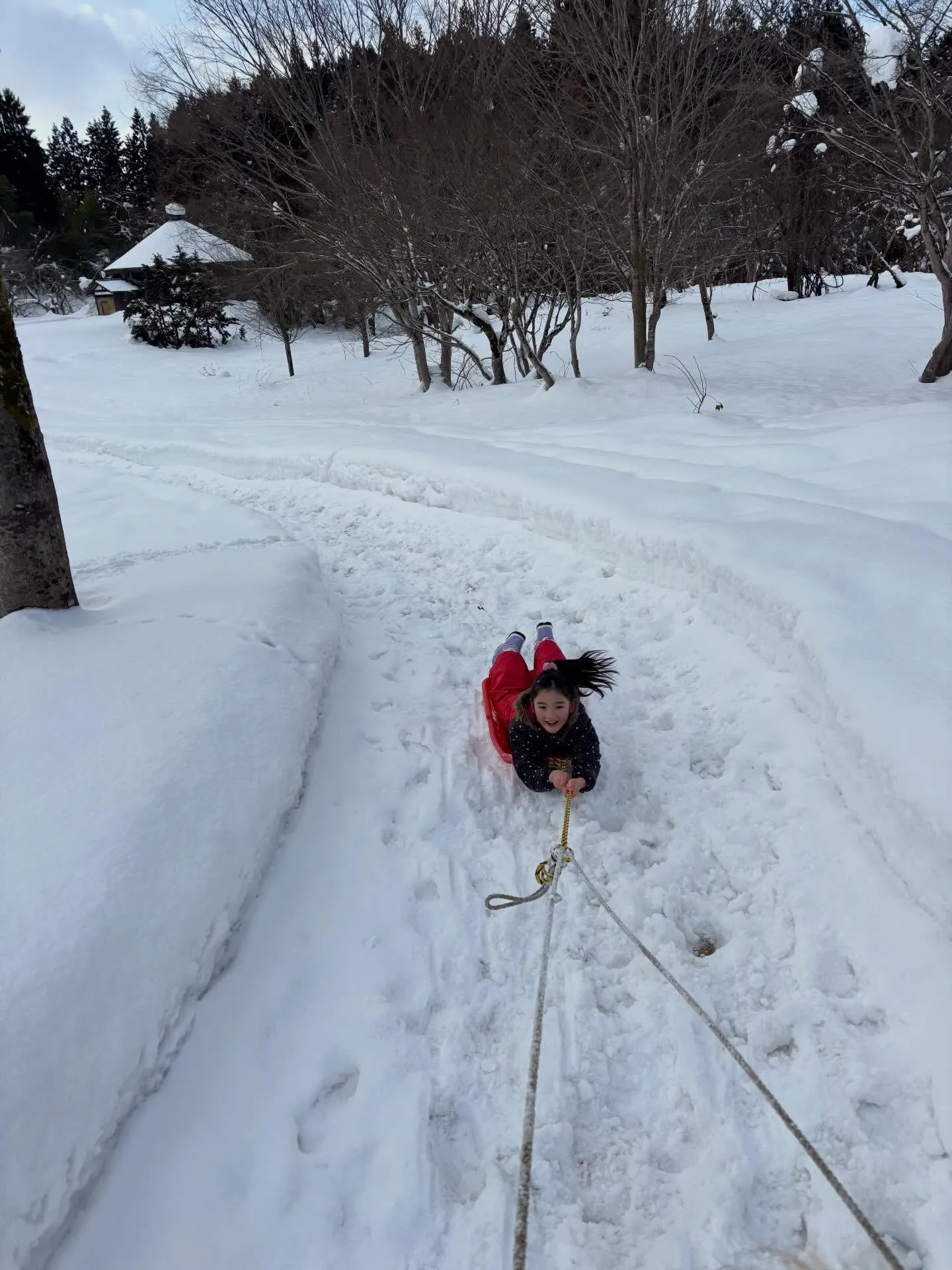 今年はソリが熱い❣️