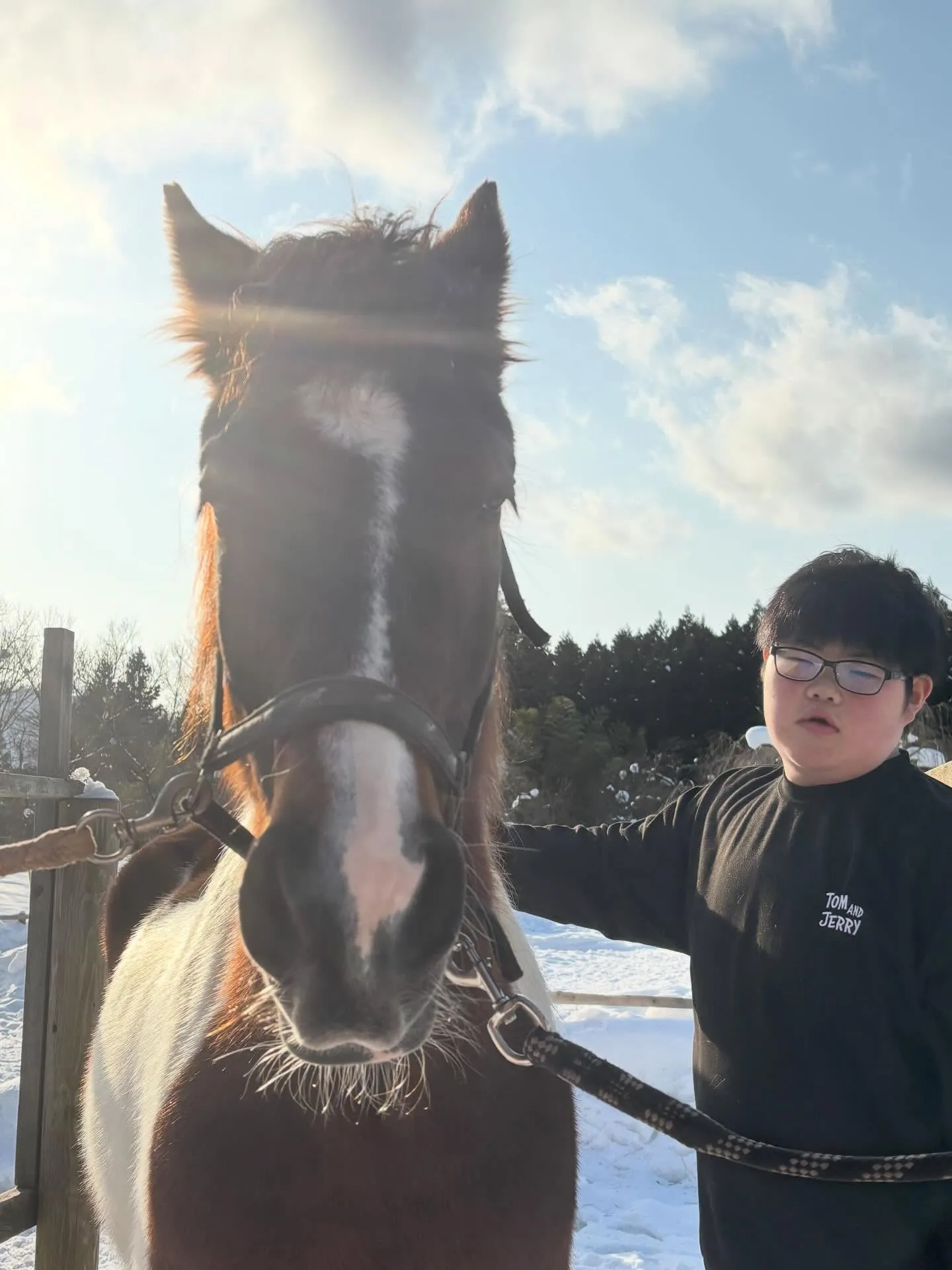 アステロ、デカい！そろそろ同じぐらいかと思ったのにまだこんな...