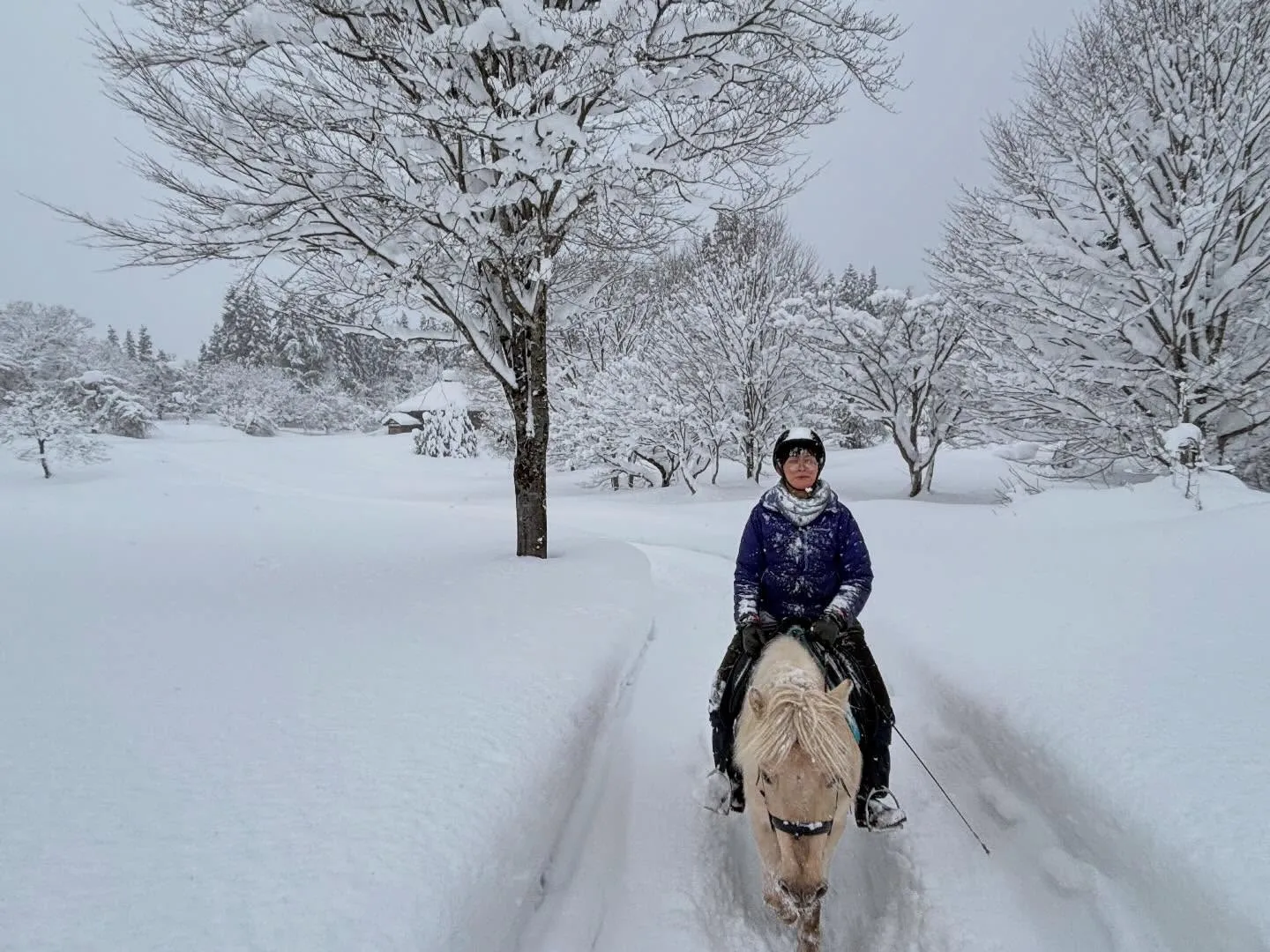 今日はさらに大雪❄️ちょっと外にいるだけで顔にも雪が積もっち...