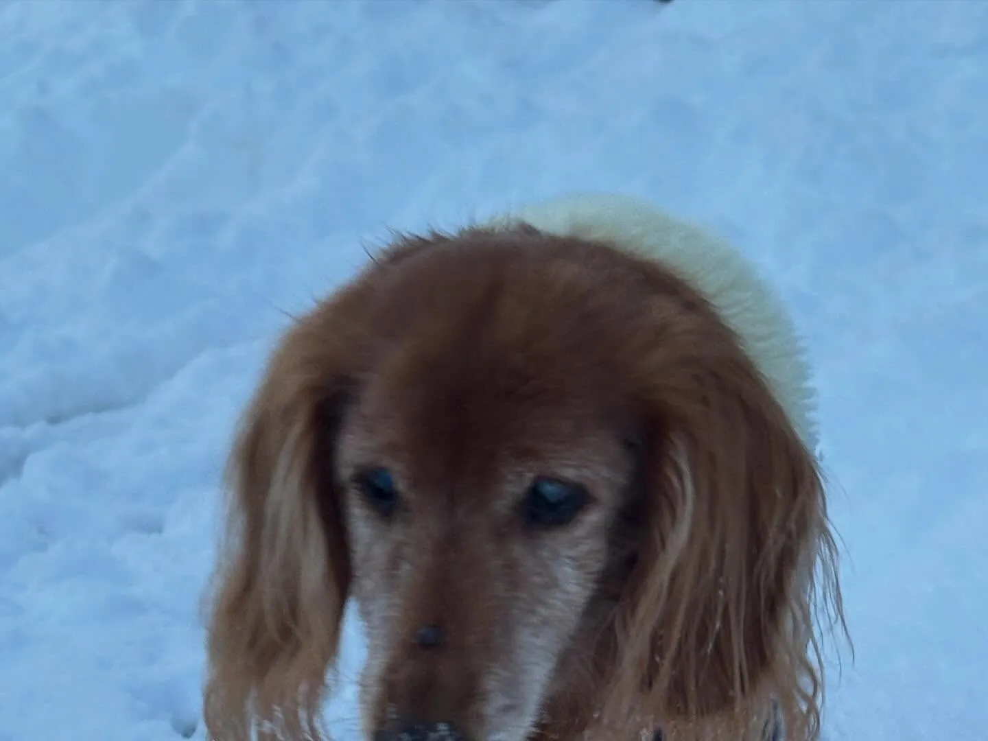 今日は晴れ間も見れたよ。