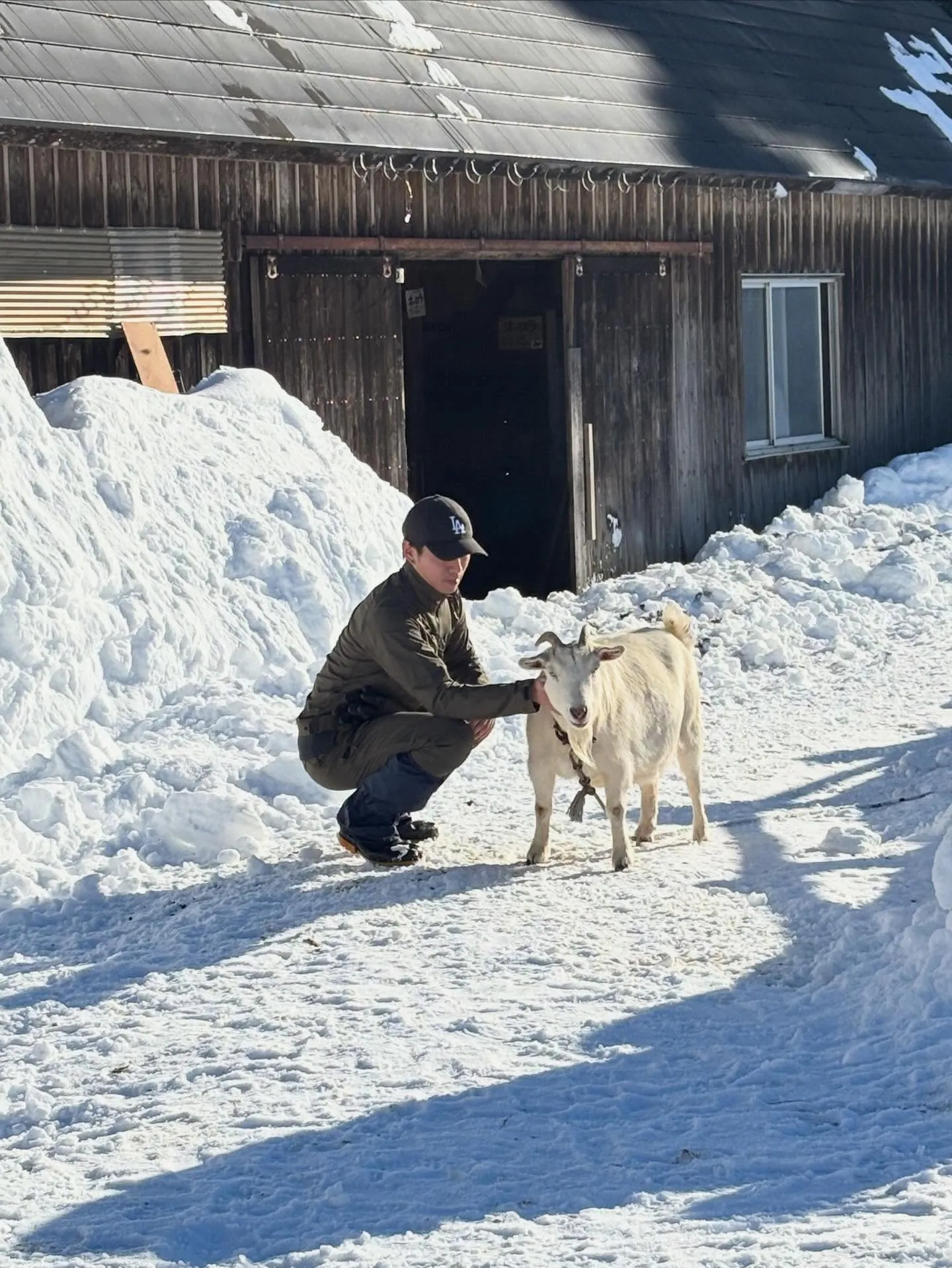 猫　睡眠中　めちゃくちゃ可愛い瞬間🩷