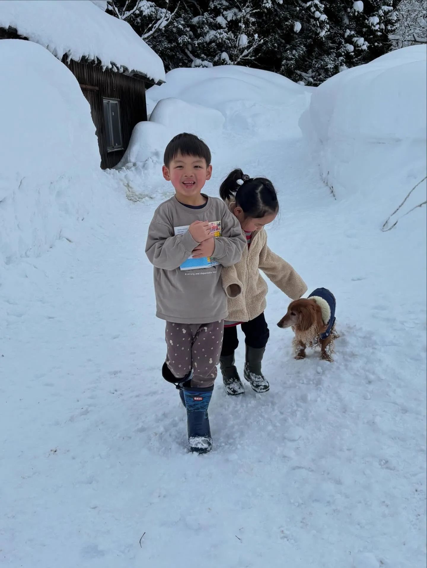 私についてきて♪  来てくれた！  可愛い🩷