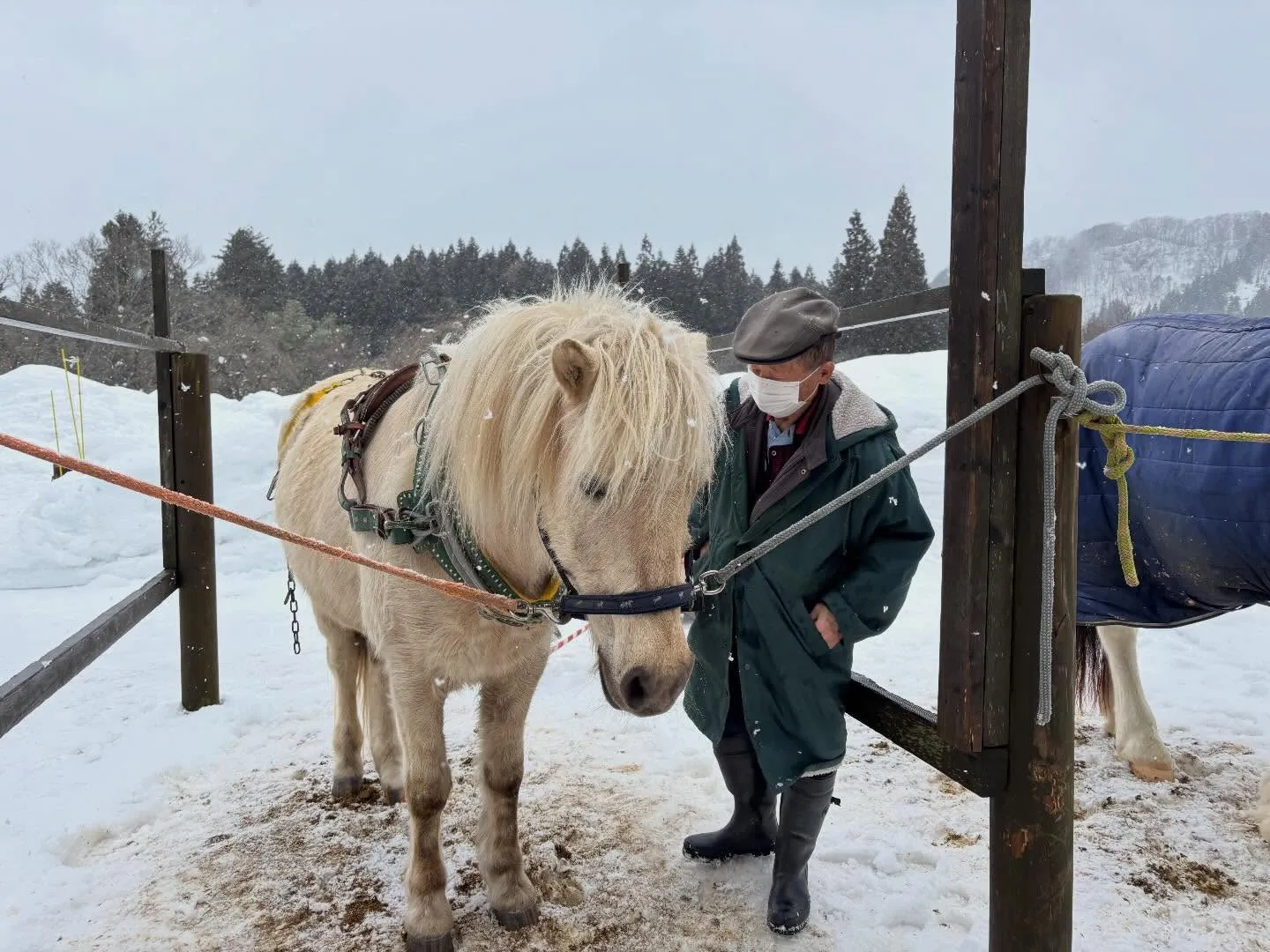 大先輩が作成した馬橇を頂きました！