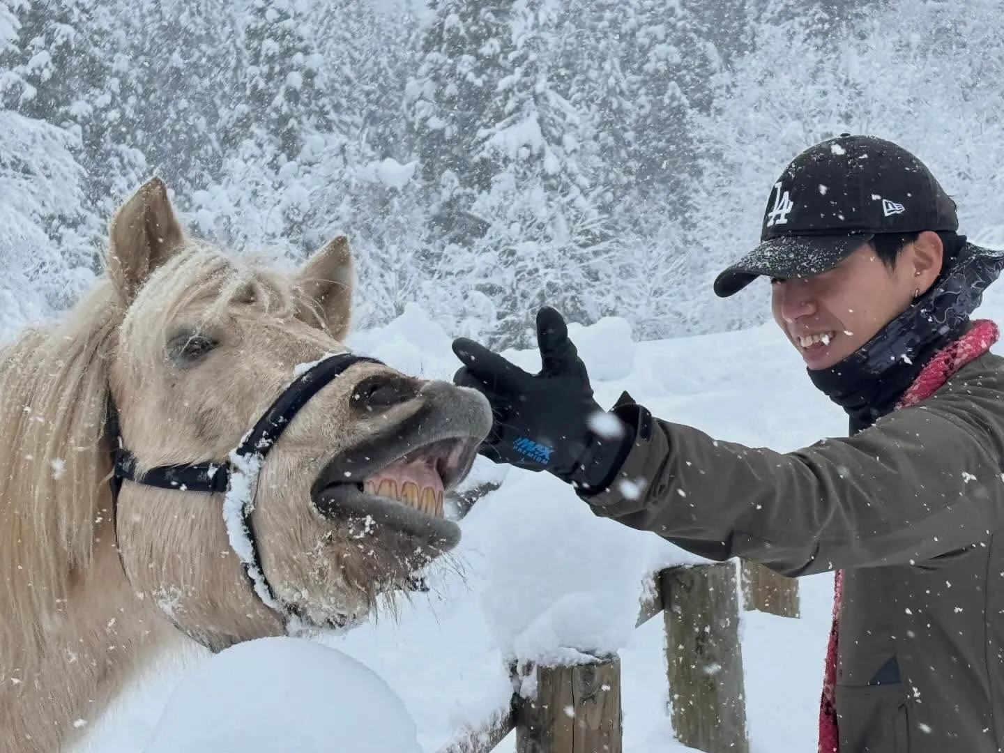 こらー！鼻に手を入れるなー🖐️
