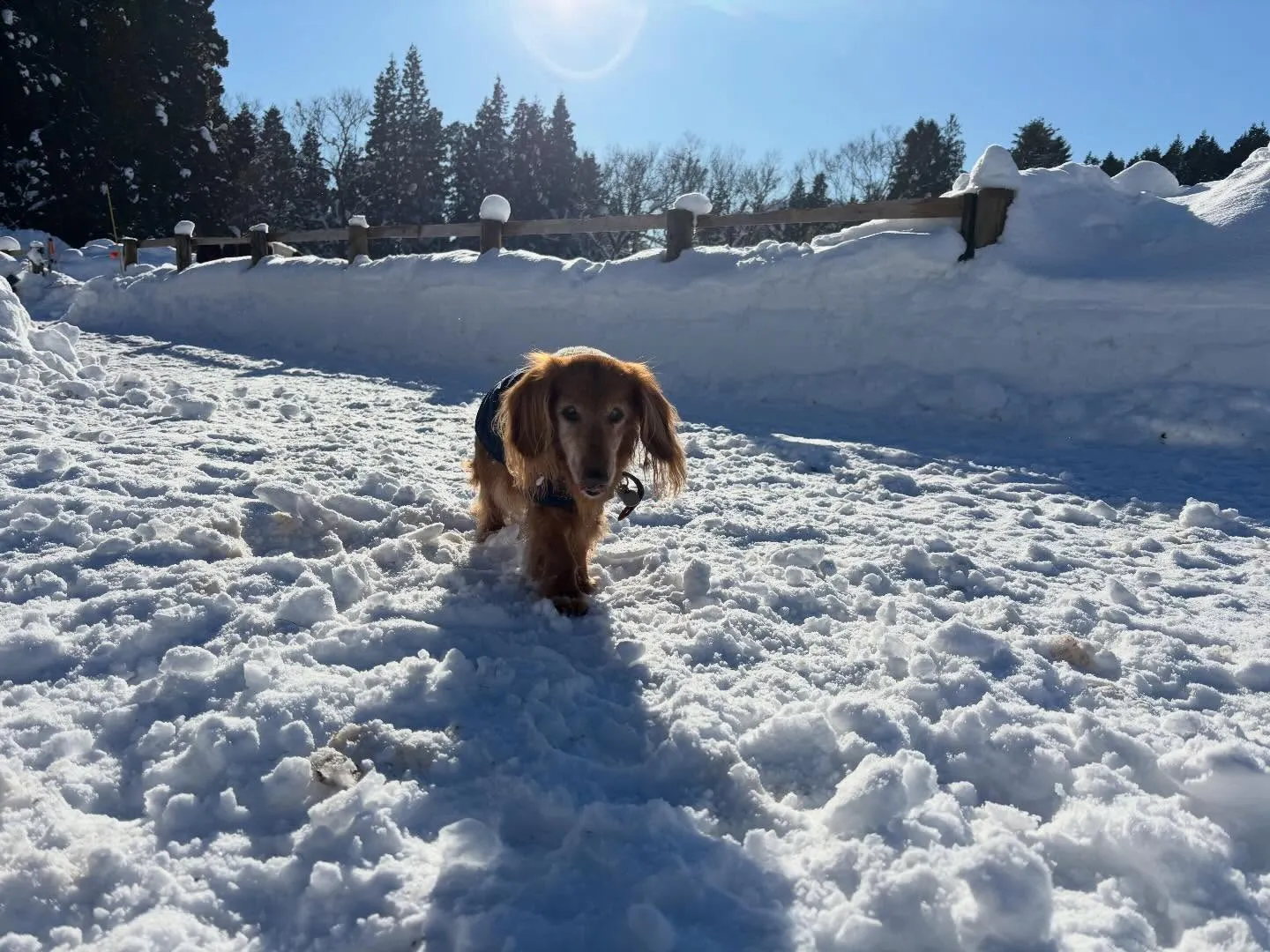 こらー！鼻に手を入れるなー🖐️