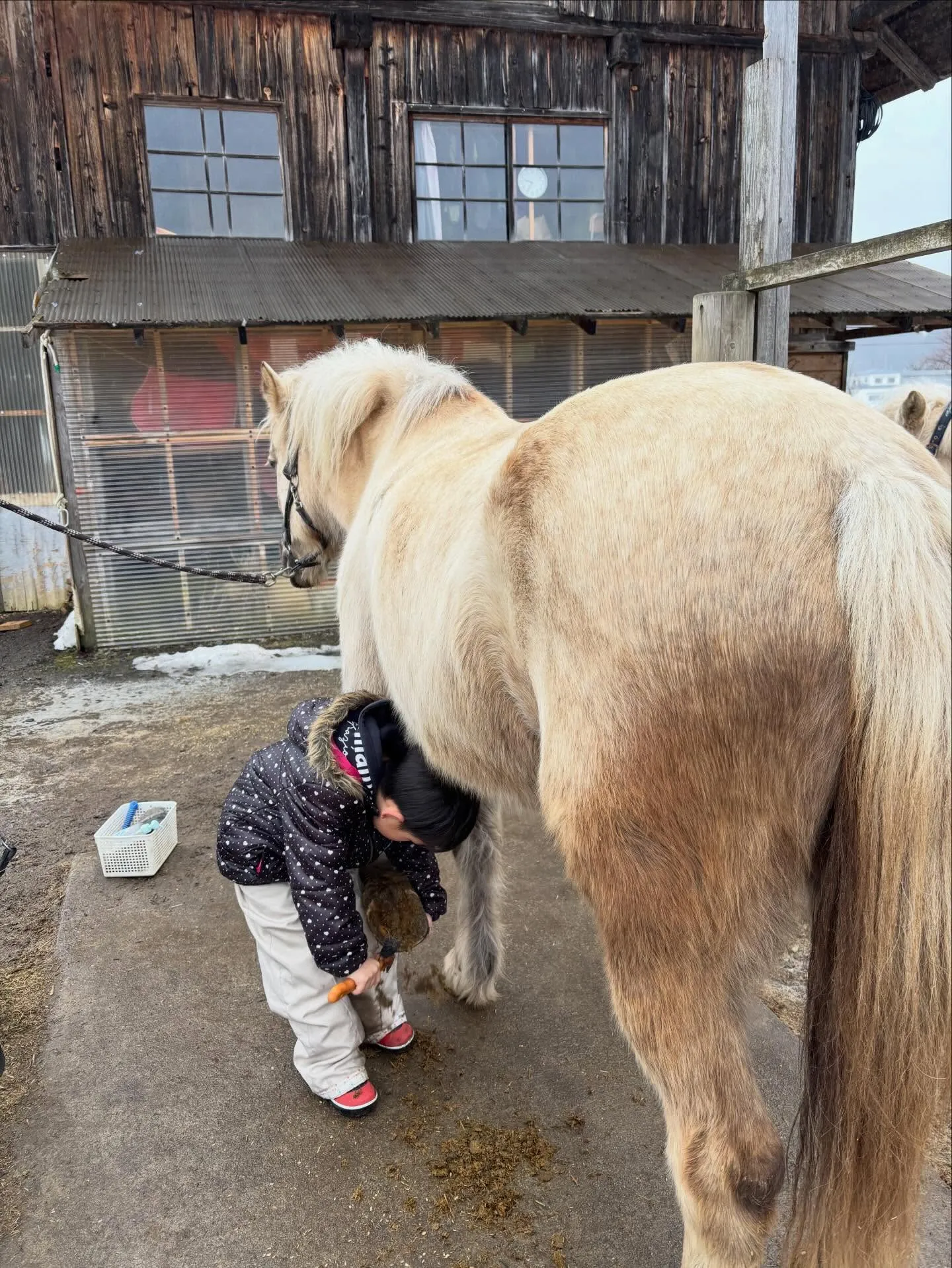 裏掘り大好きな子ども達👦🧒頑張って〜♪