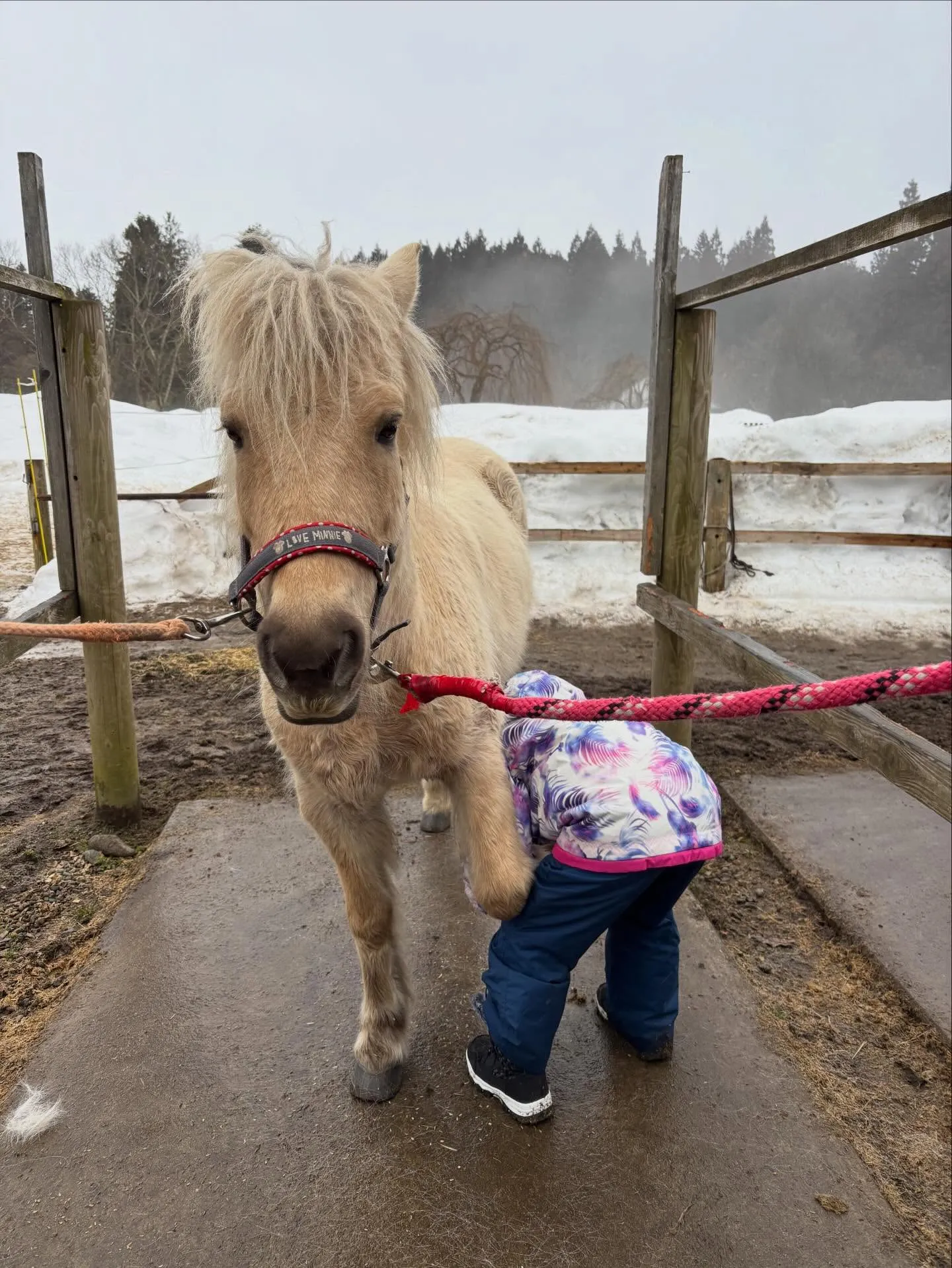 裏掘り大好きな子ども達👦🧒頑張って〜♪