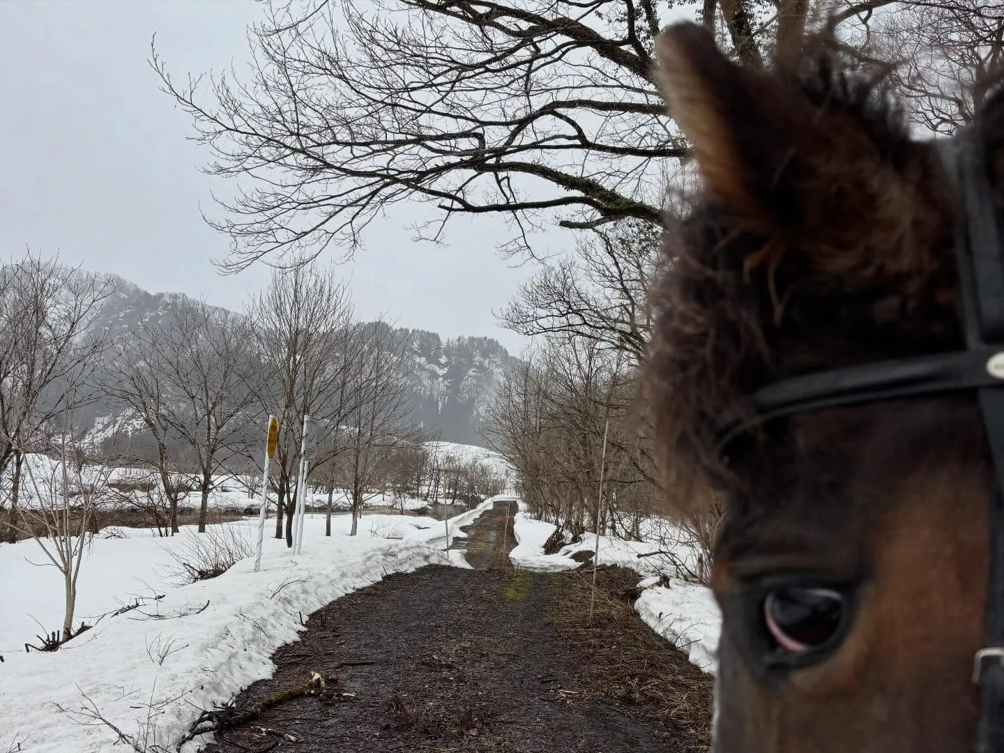 今日の猫たち🐈🐈