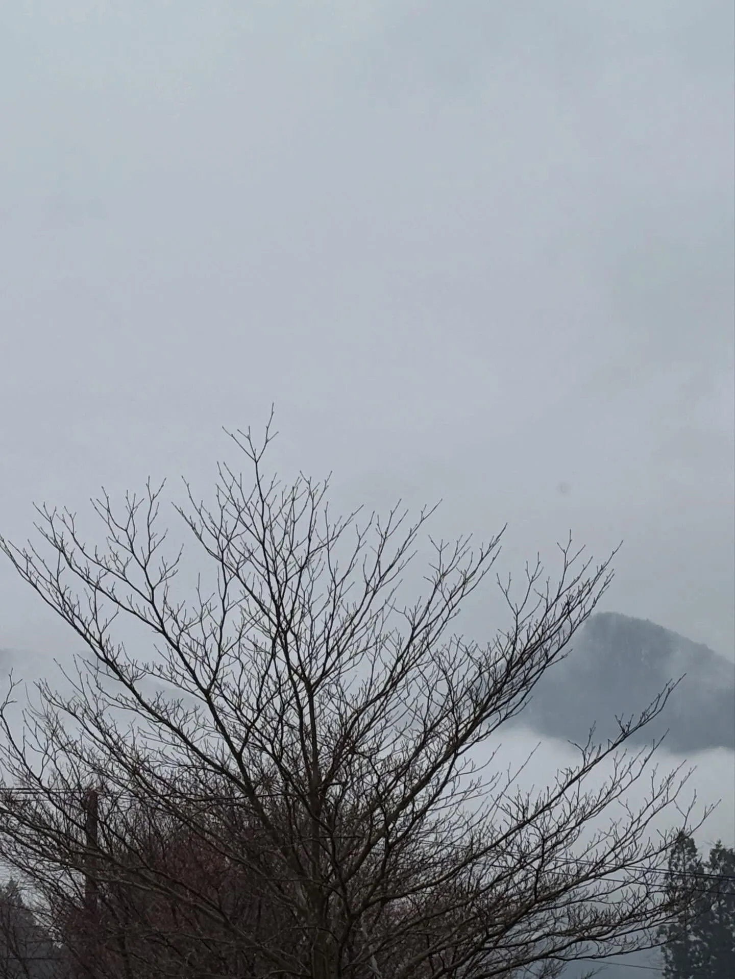 馬の背中に乗っているのは🐦‍⬛🐦‍⬛カラス！