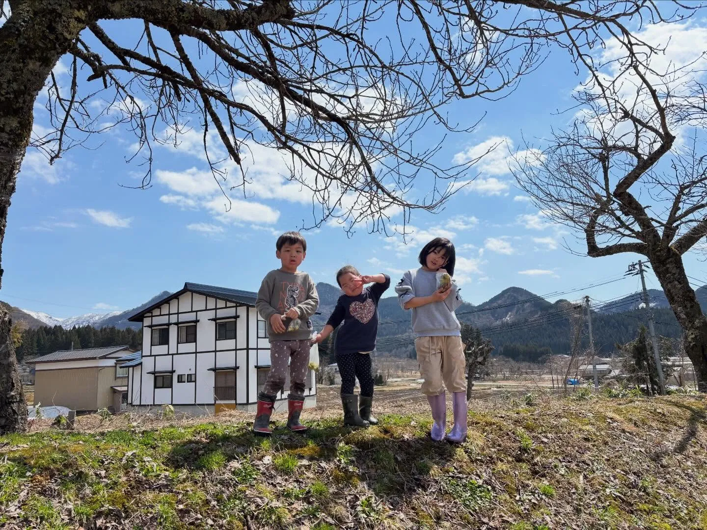 今日はふきのとうを探して牧場中を散策！たくさん採ったよー！