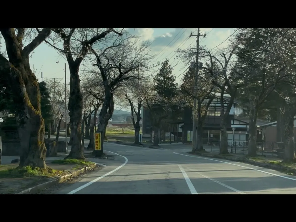 もうすぐ桜🌸咲くよー！楽しみ♪