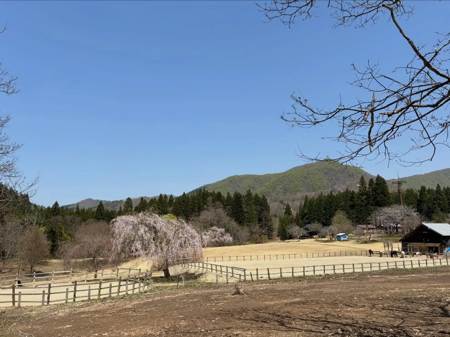 #神室ヴィレッジ#ホースセラピー#ホーストレッキング #フォ...