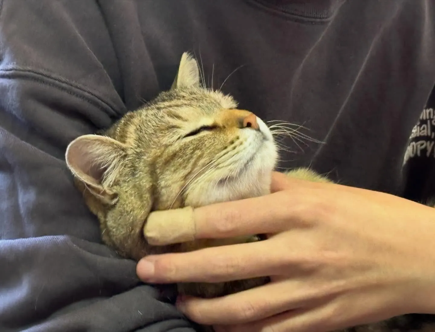 可愛い😍この安心しきった顔！全身リラックス😌