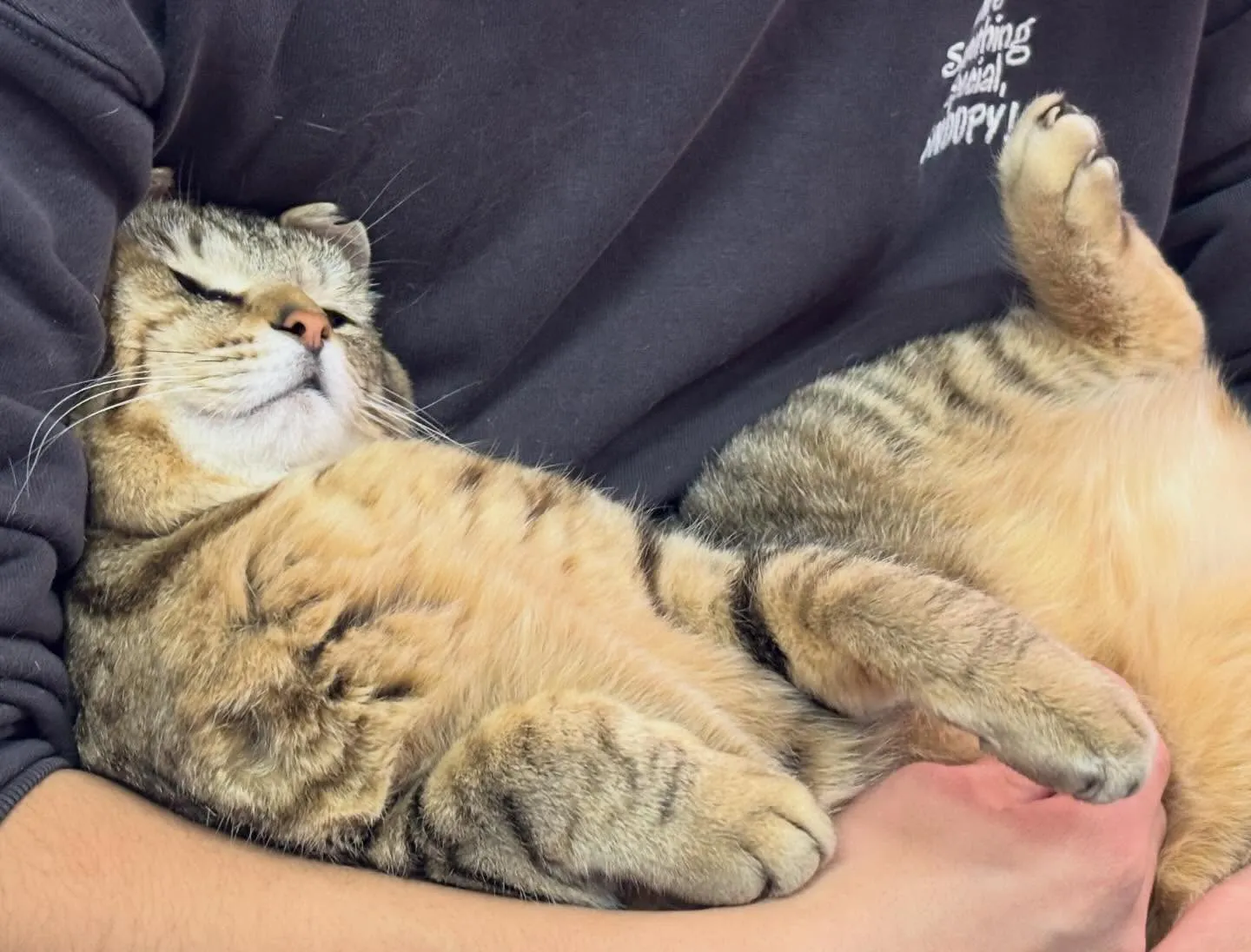 可愛い😍この安心しきった顔！全身リラックス😌