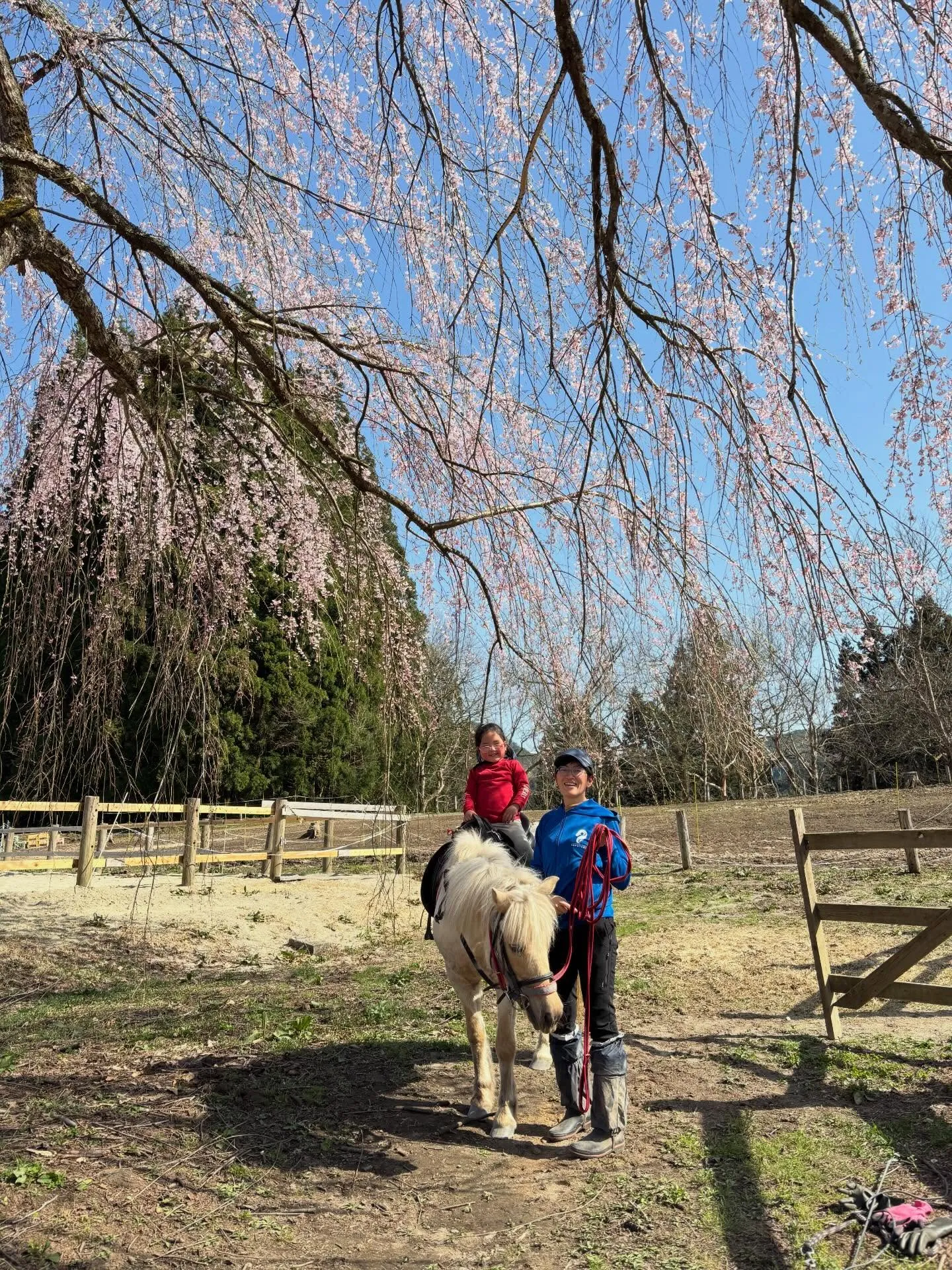 みんなでお花見🌸お団子食べていっぱい遊んで♪お天気もサイコー...