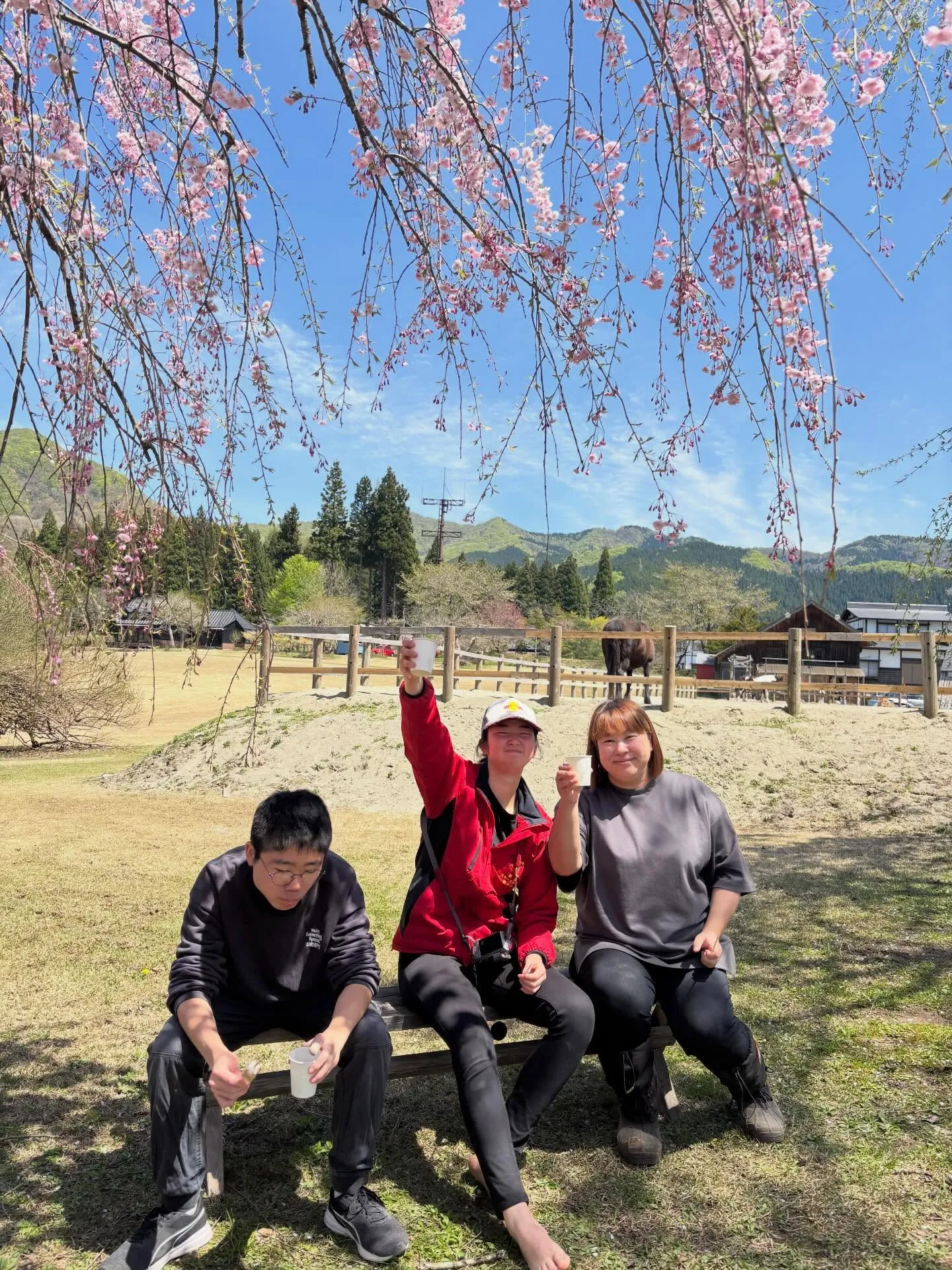 みんなでお花見🌸お団子食べていっぱい遊んで♪お天気もサイコー...