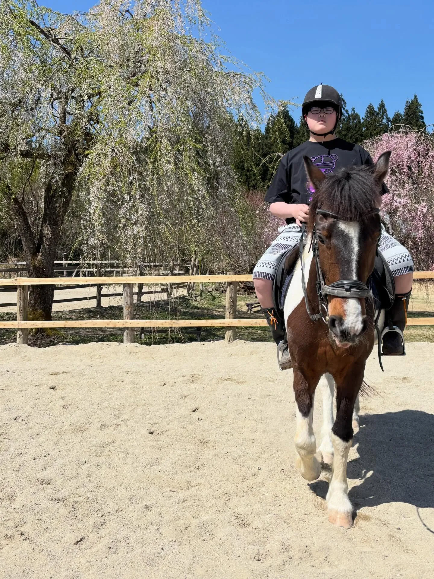 みんなでお花見🌸お団子食べていっぱい遊んで♪お天気もサイコー...